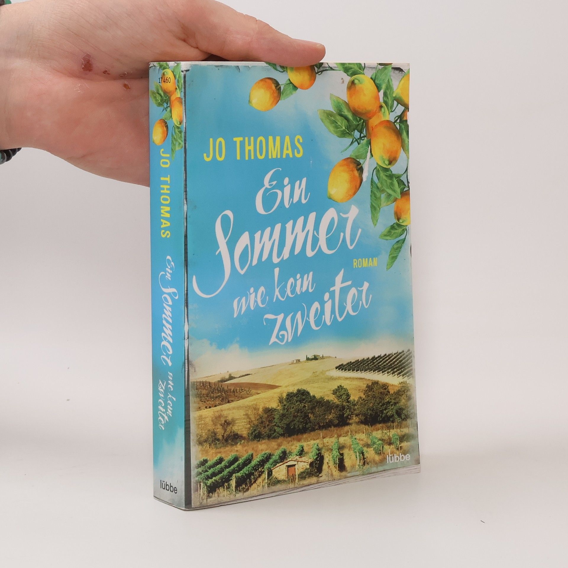 Jo Thomas Ein Sommer wie kein zweiter