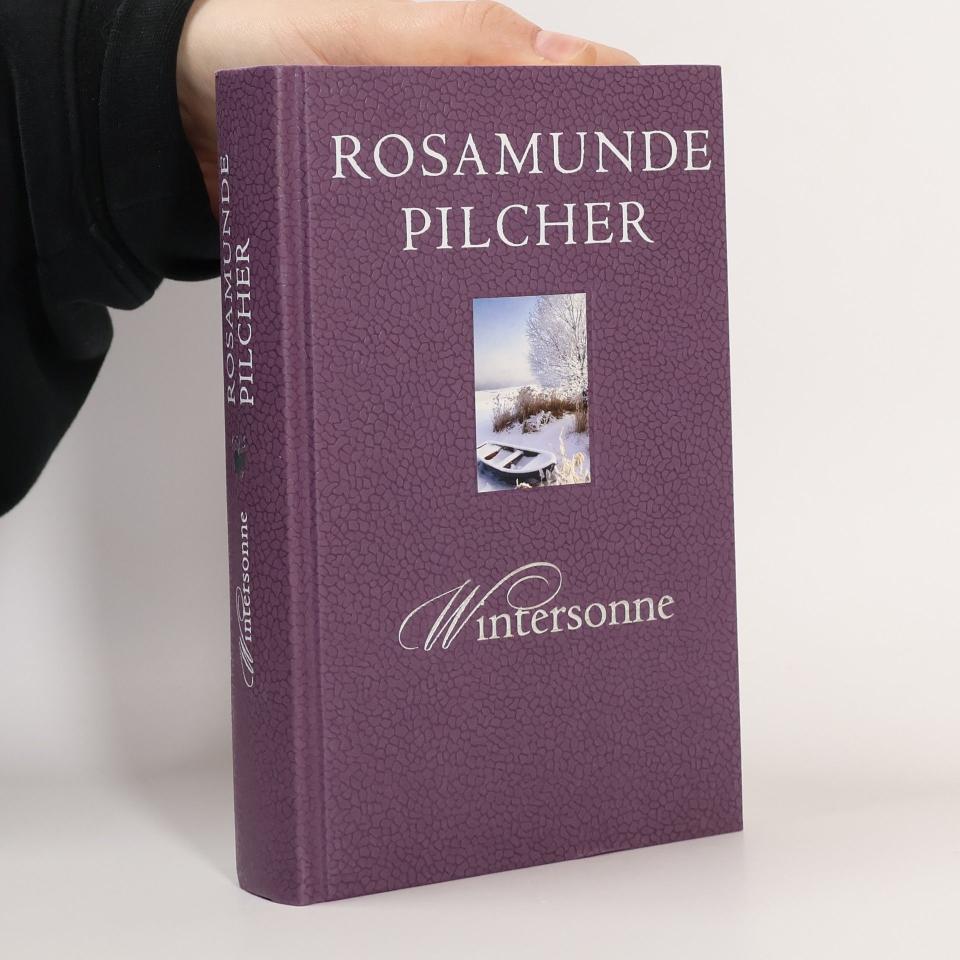 Rosamunde Pilcher Wintersonne