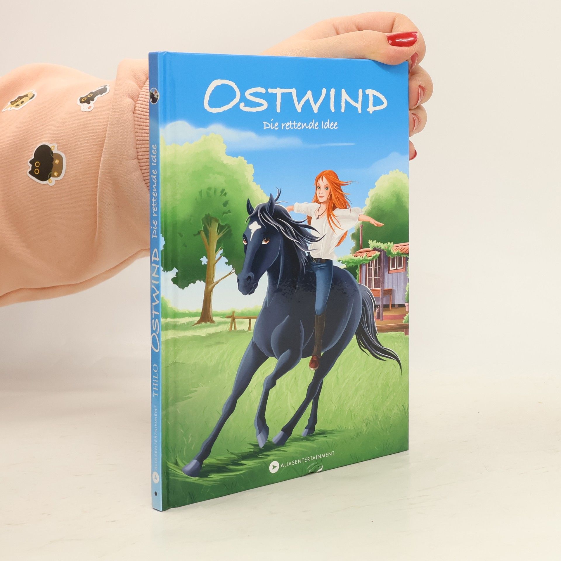 Thilo Petry-Lassak Ostwind - die rettende Idee