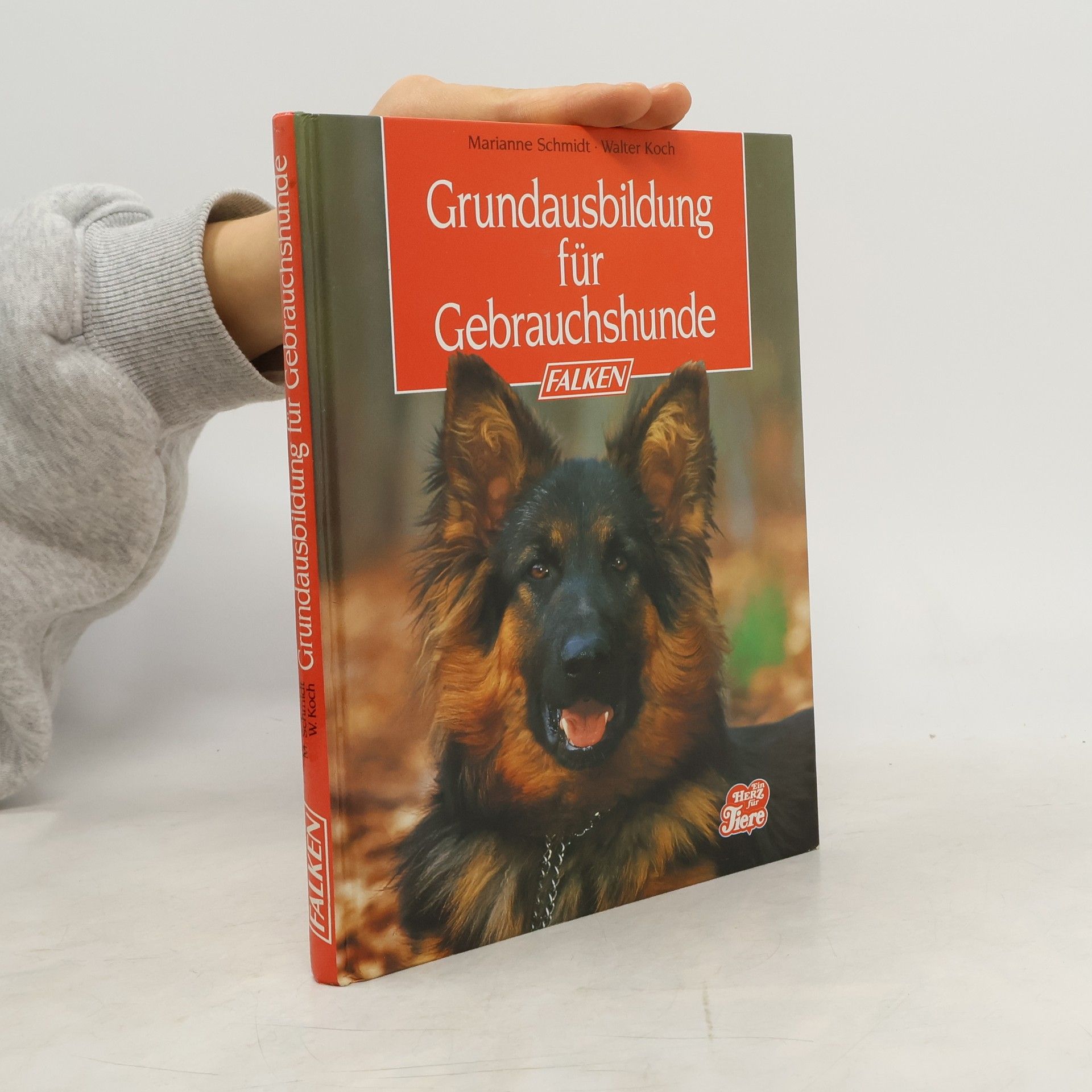 Grundausbildung für Gebrauchshunde