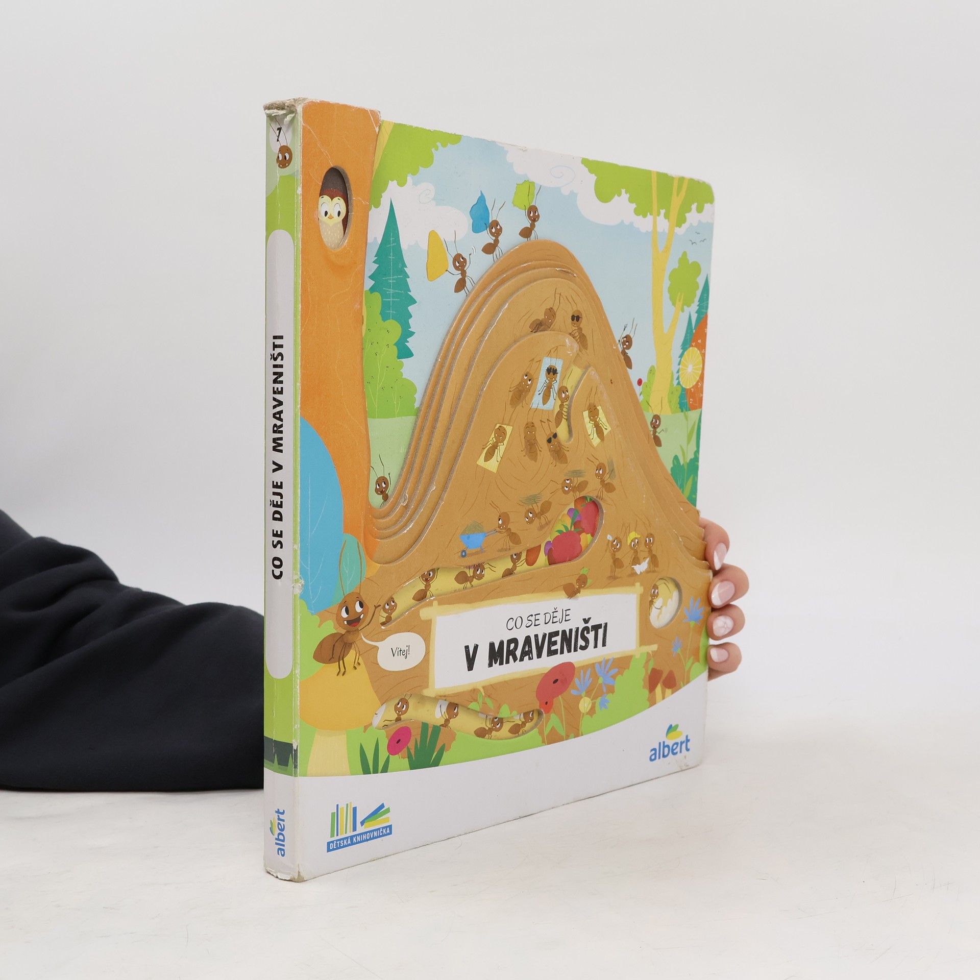 Kolektiv autorů Co se děje v mraveništi