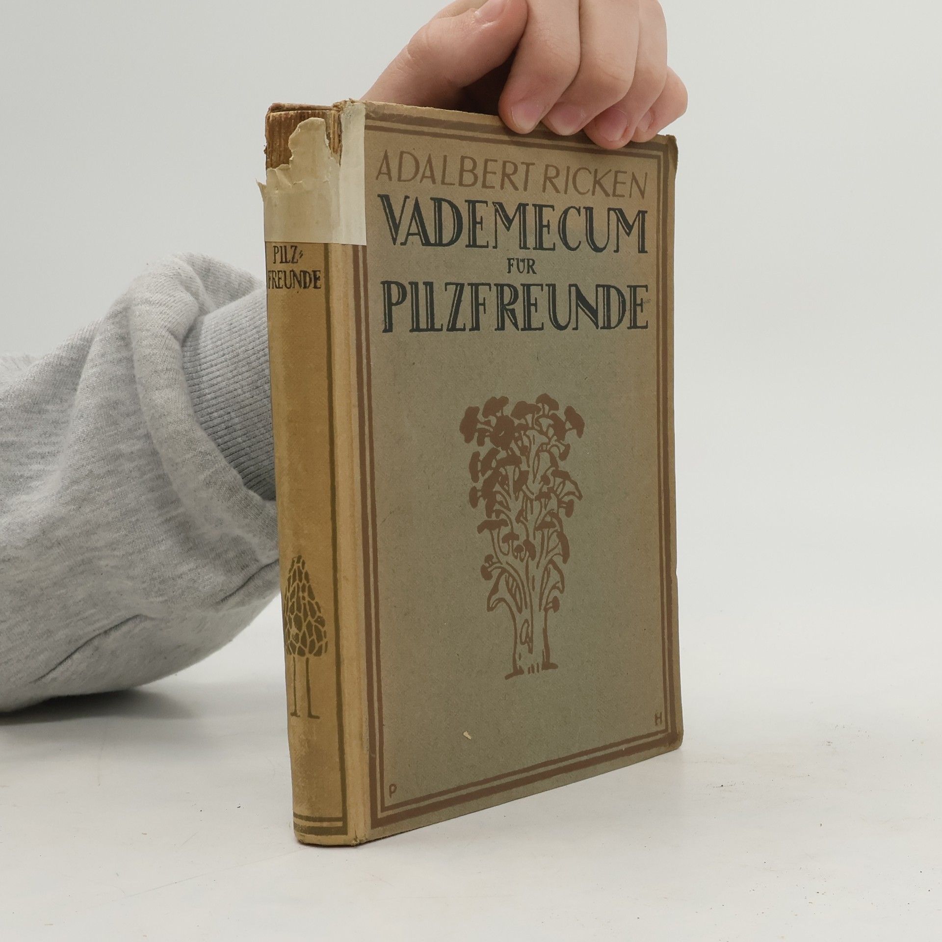 Adalbert Ricken Vademecum für Pilzfreunde