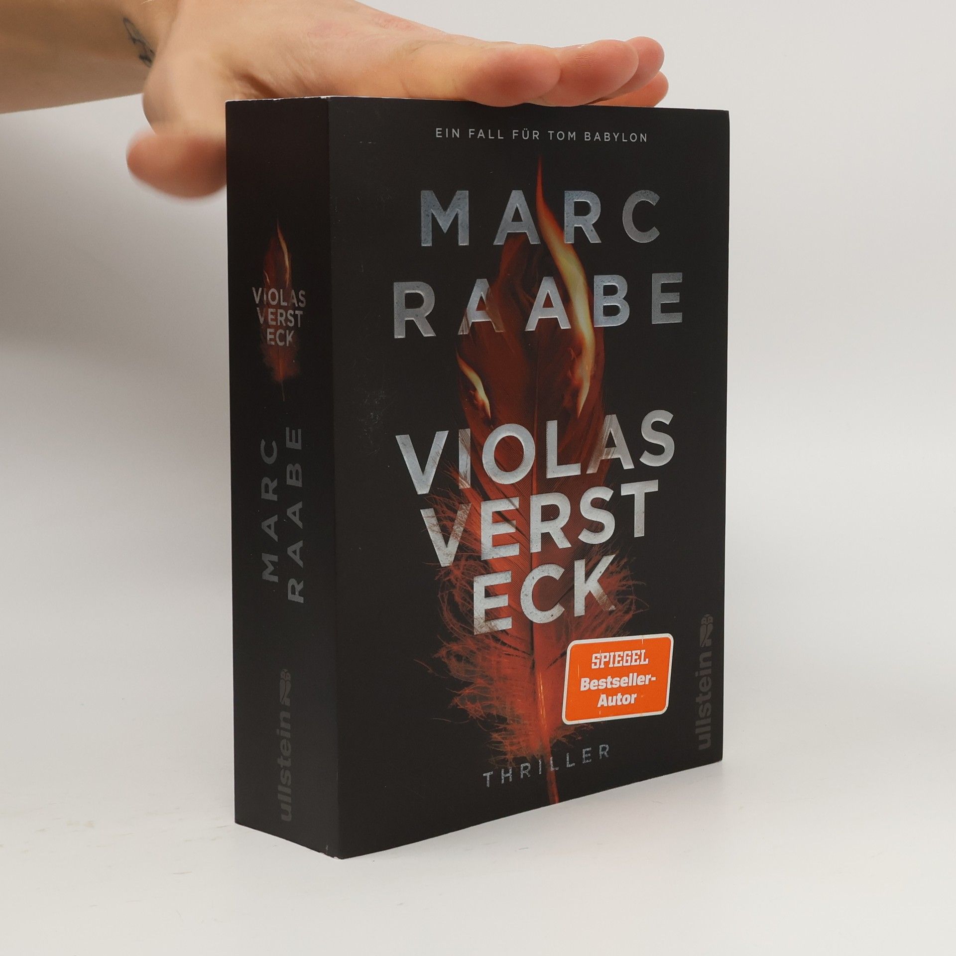 Marc Raabe Violas Versteck