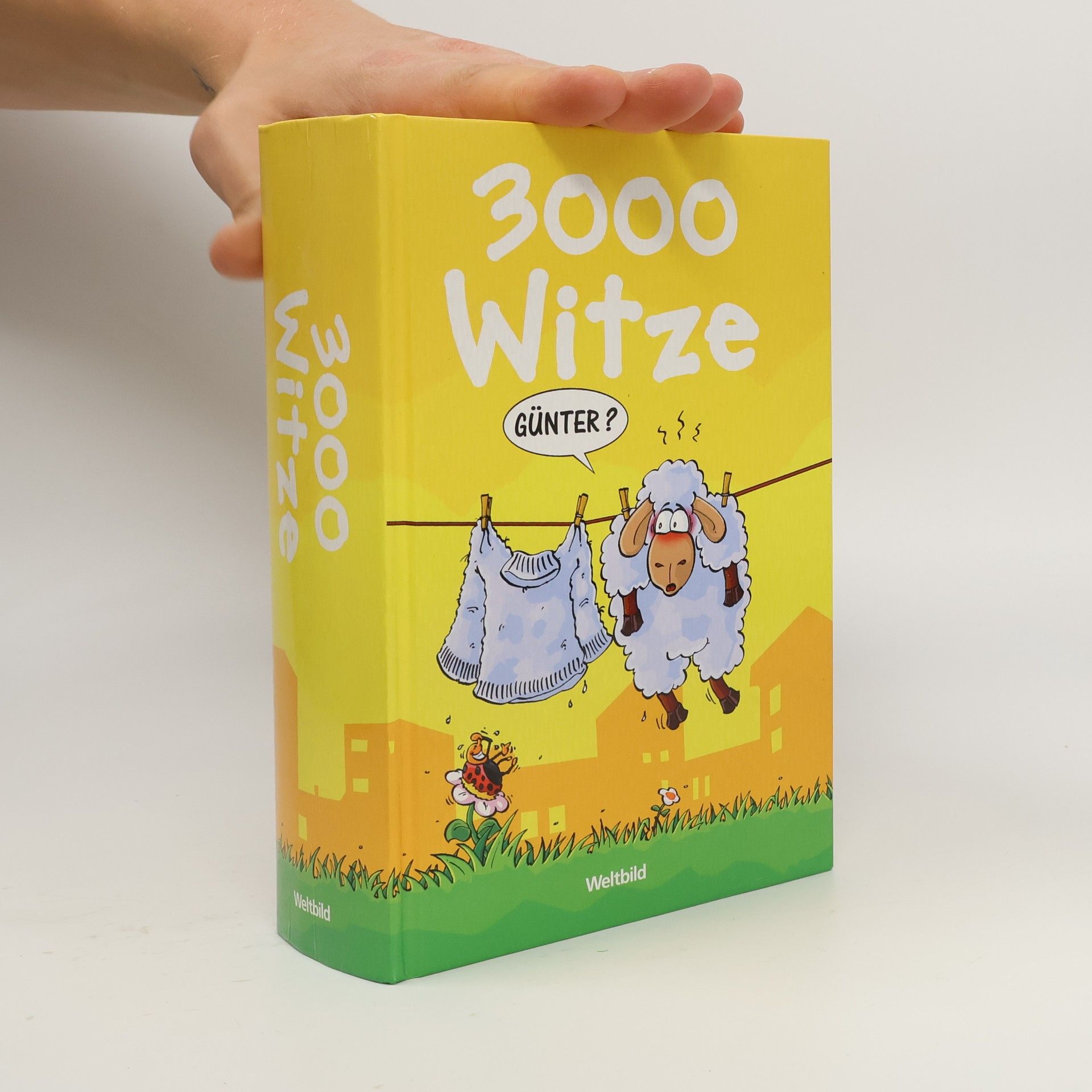 Collectif d'auteurs 3000 Witze