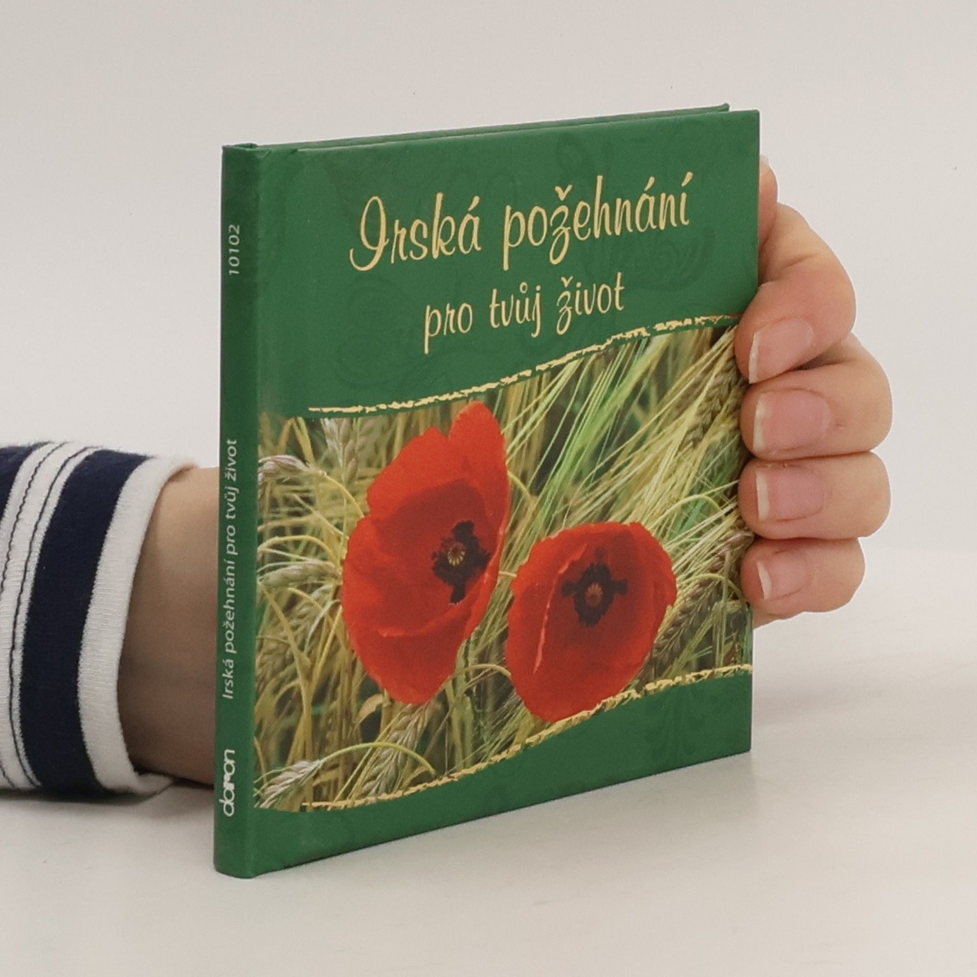 Collectif d'auteurs Irská požehnání pro tvůj život