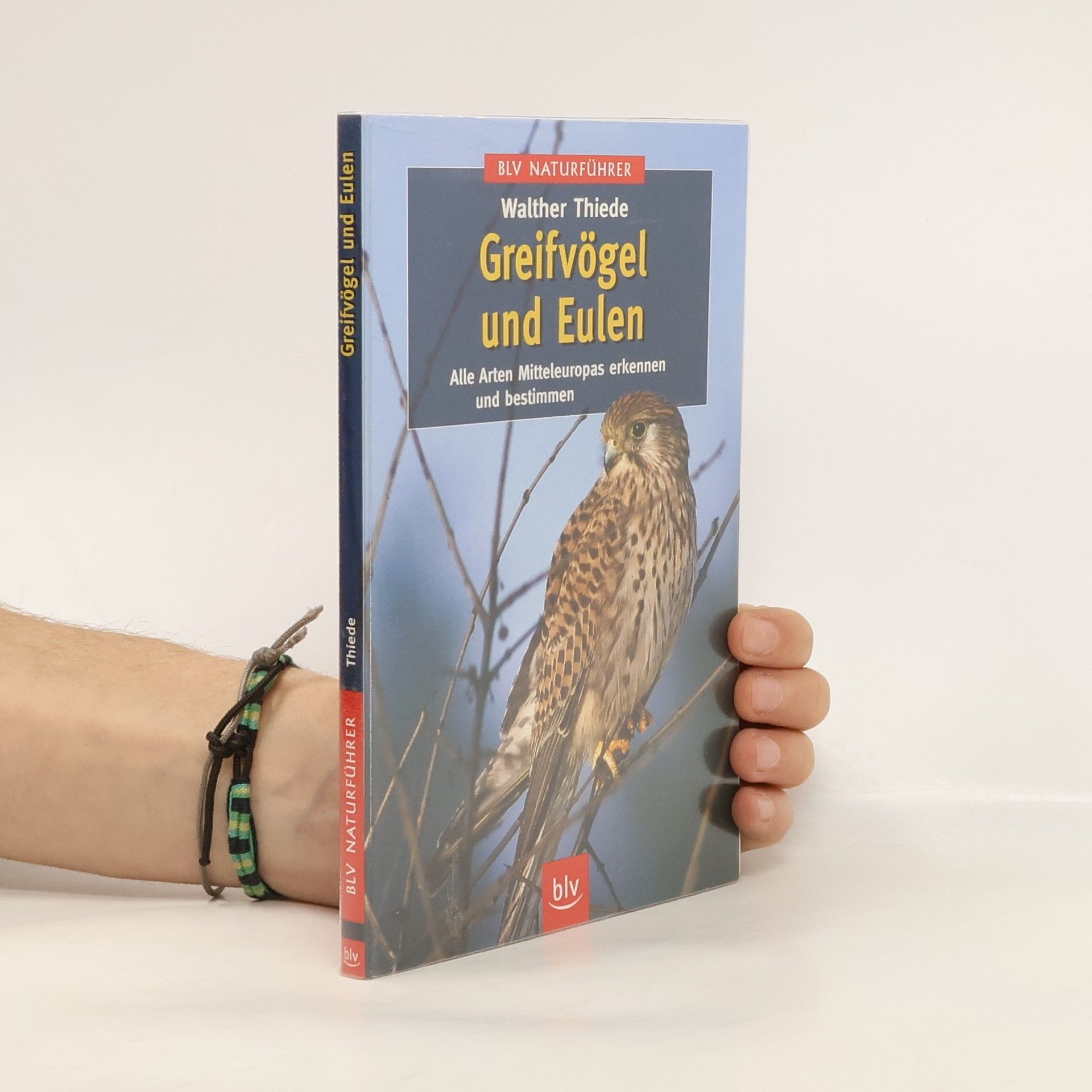 Walther Thiede Greifvögel und Eulen