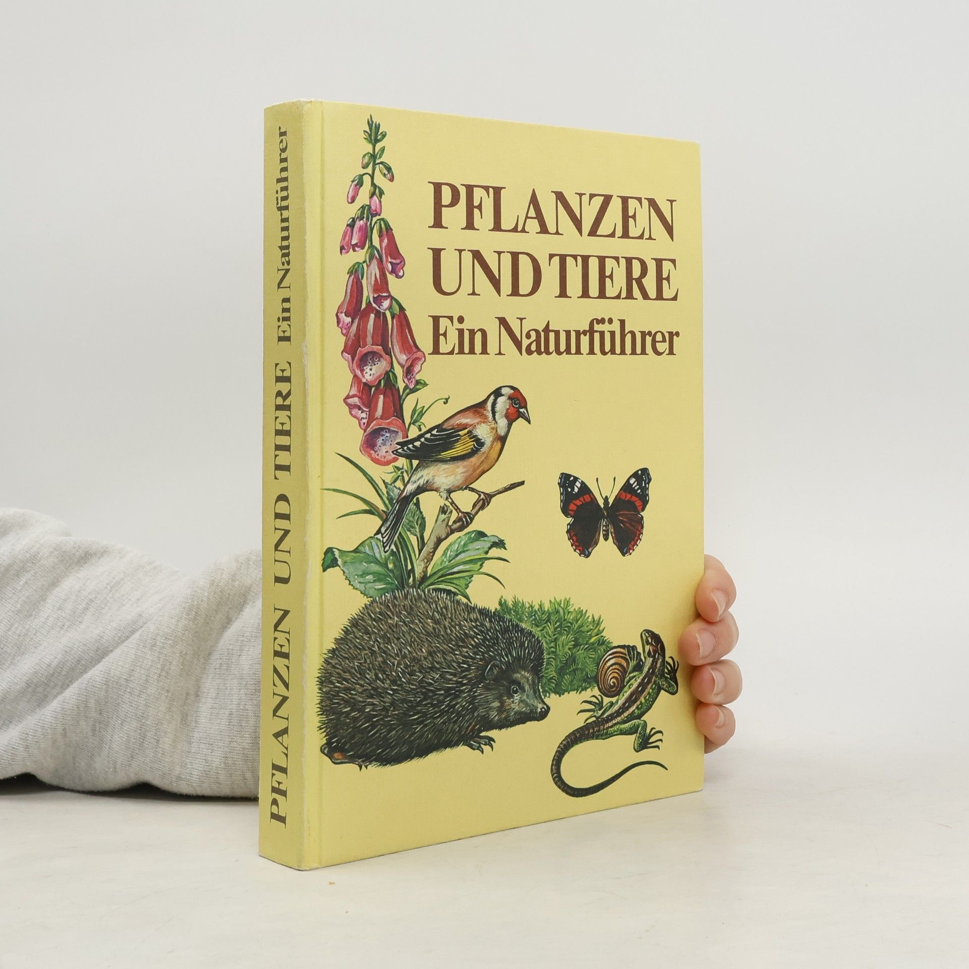 Christoph Needon Naturführer Pflanzen und Tiere