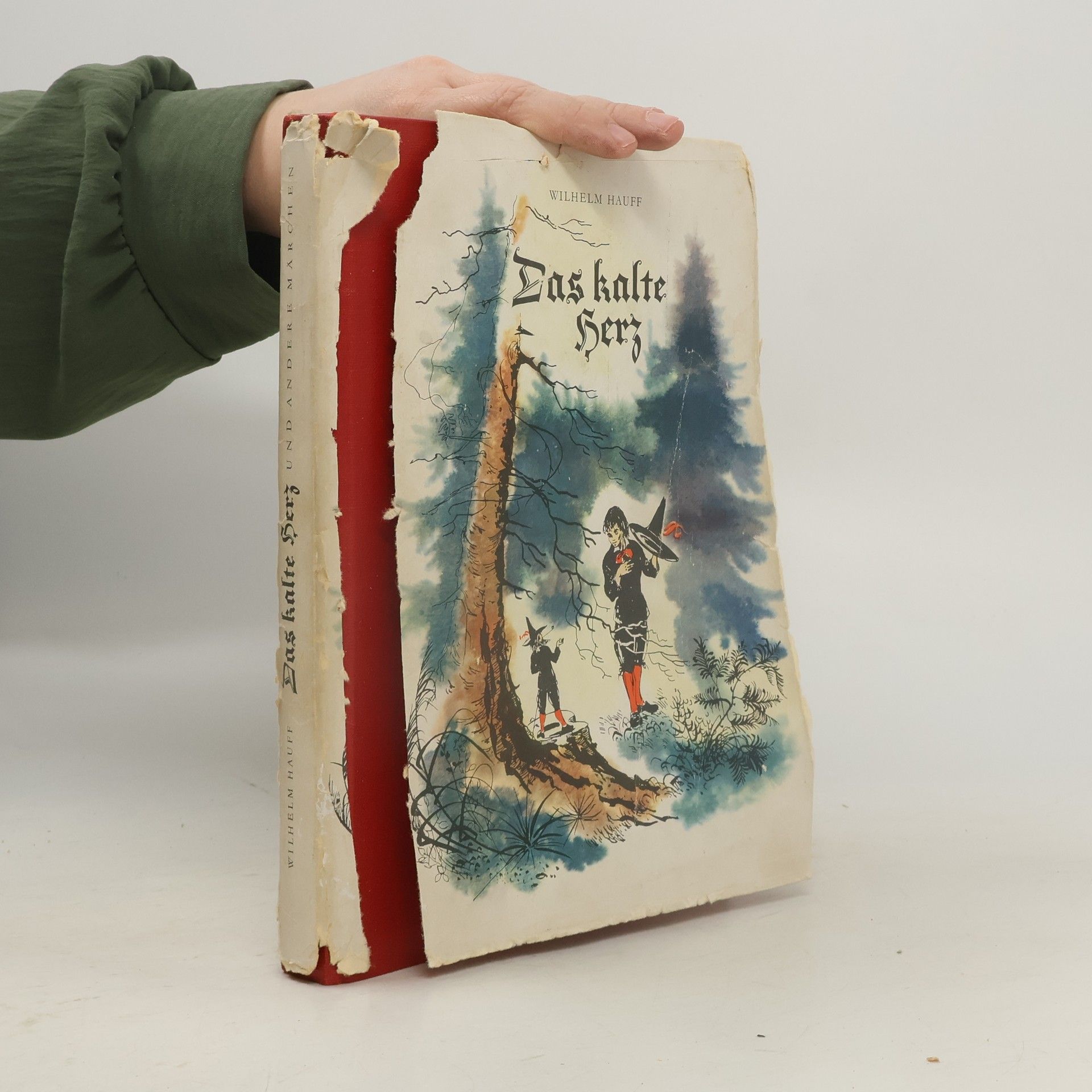 Das kalte Herz und andere Märchen
