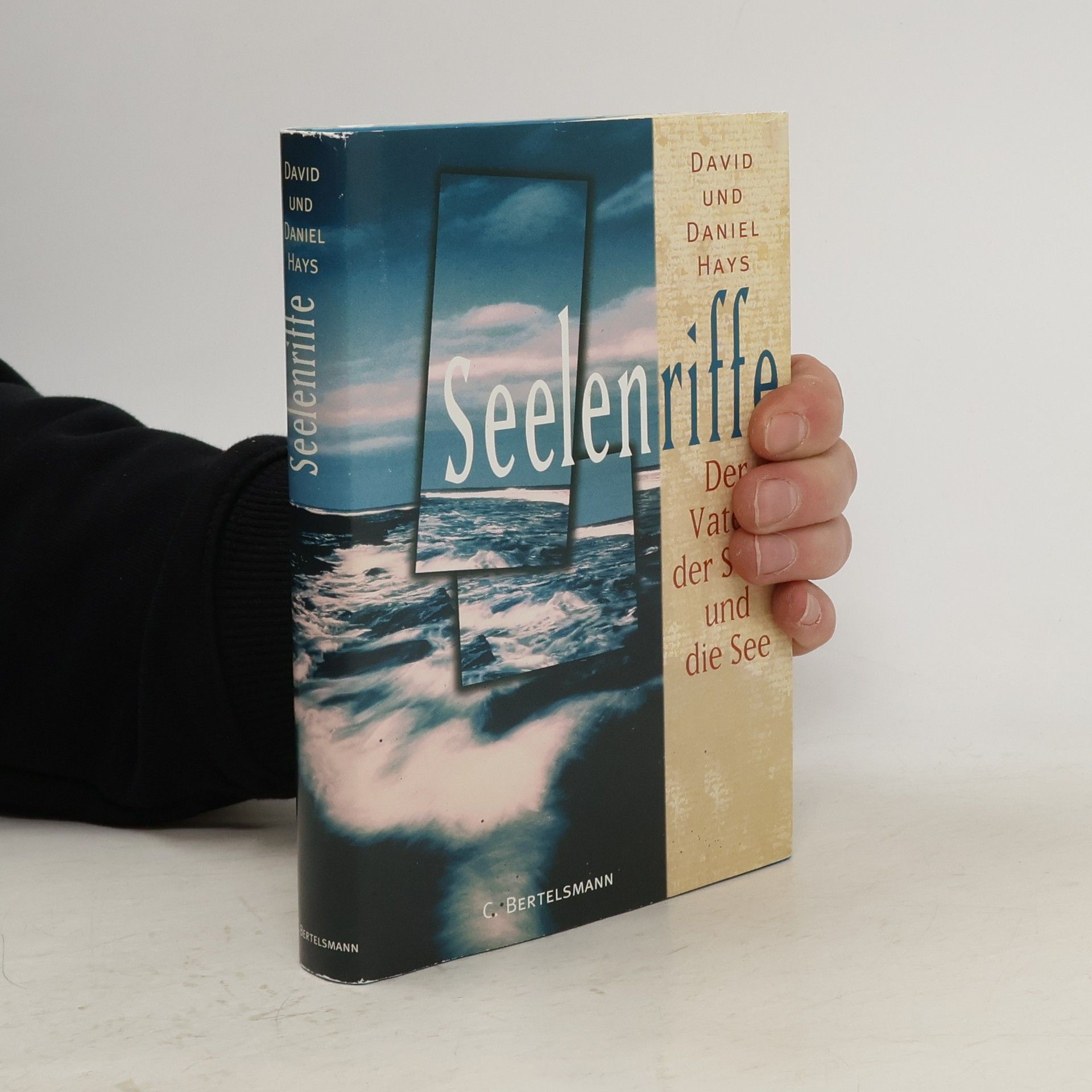 David Hays Seelenriffe