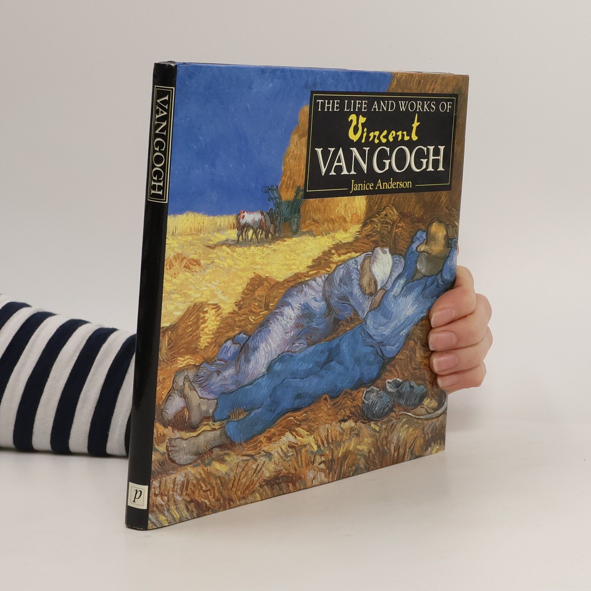 Janice Anderson The Life and work of Vincent Van Gogh