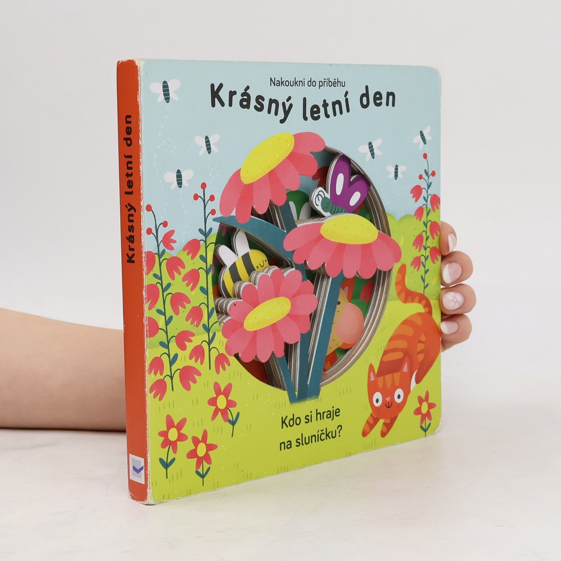 Anne Passchier Krásný letní den : kdo si hraje na sluníčku?