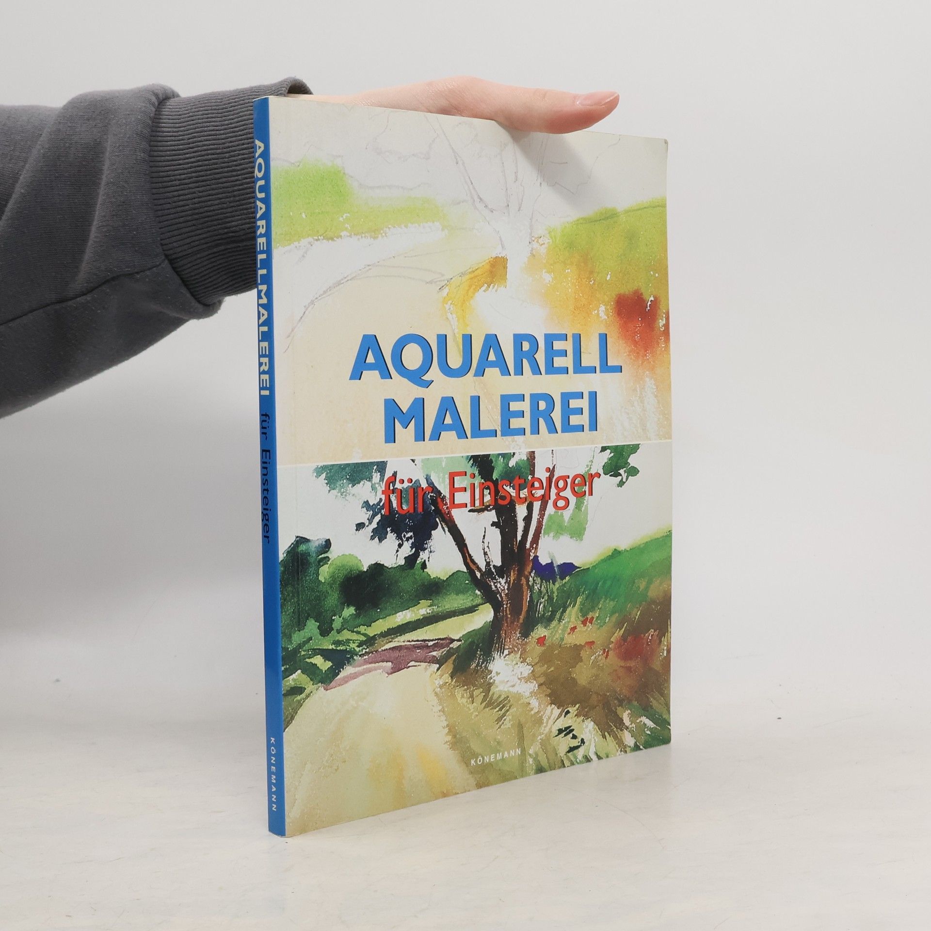 Kolektív autorov Aquarell Malerei für Einsteiger