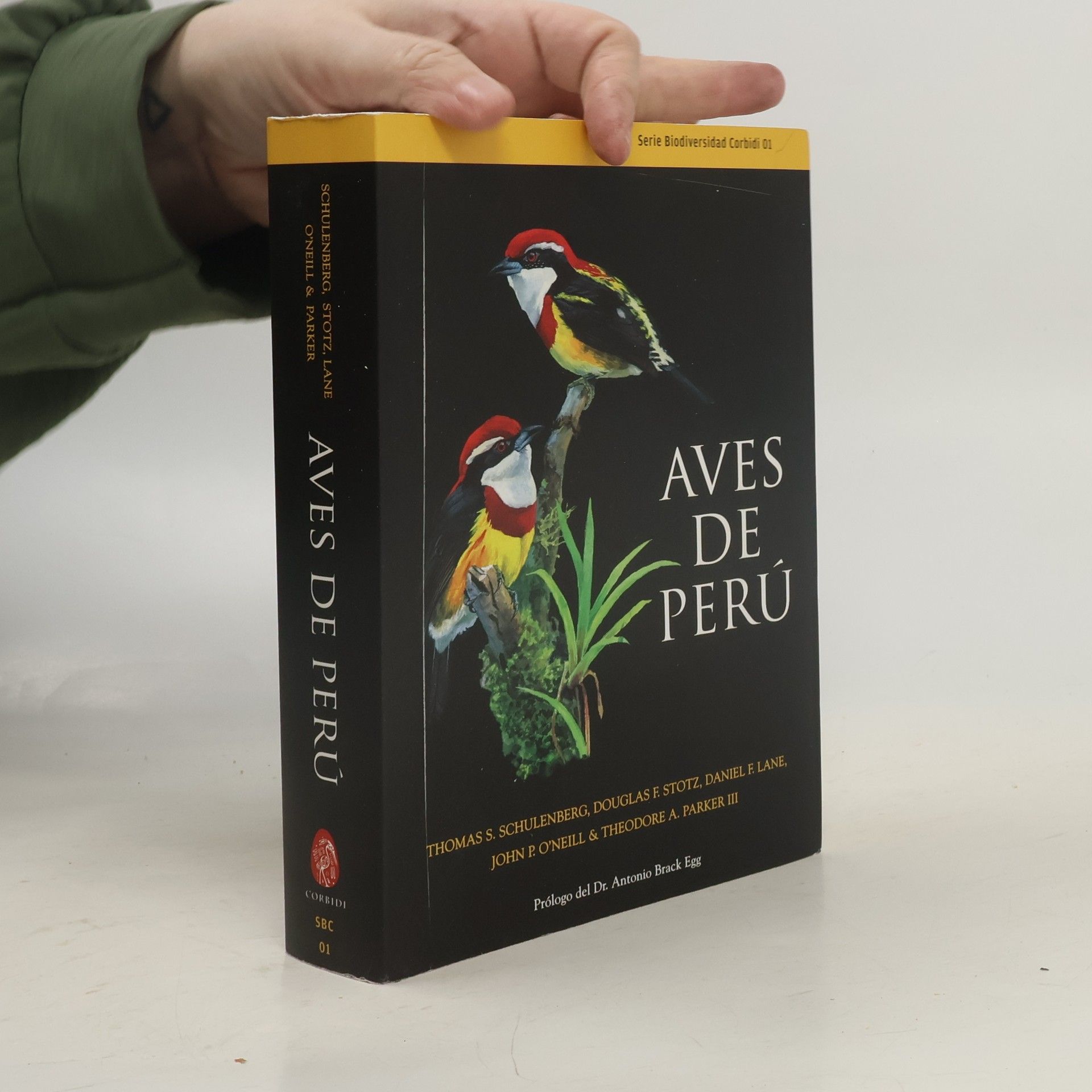 Daniel F. Lane Aves de Perú