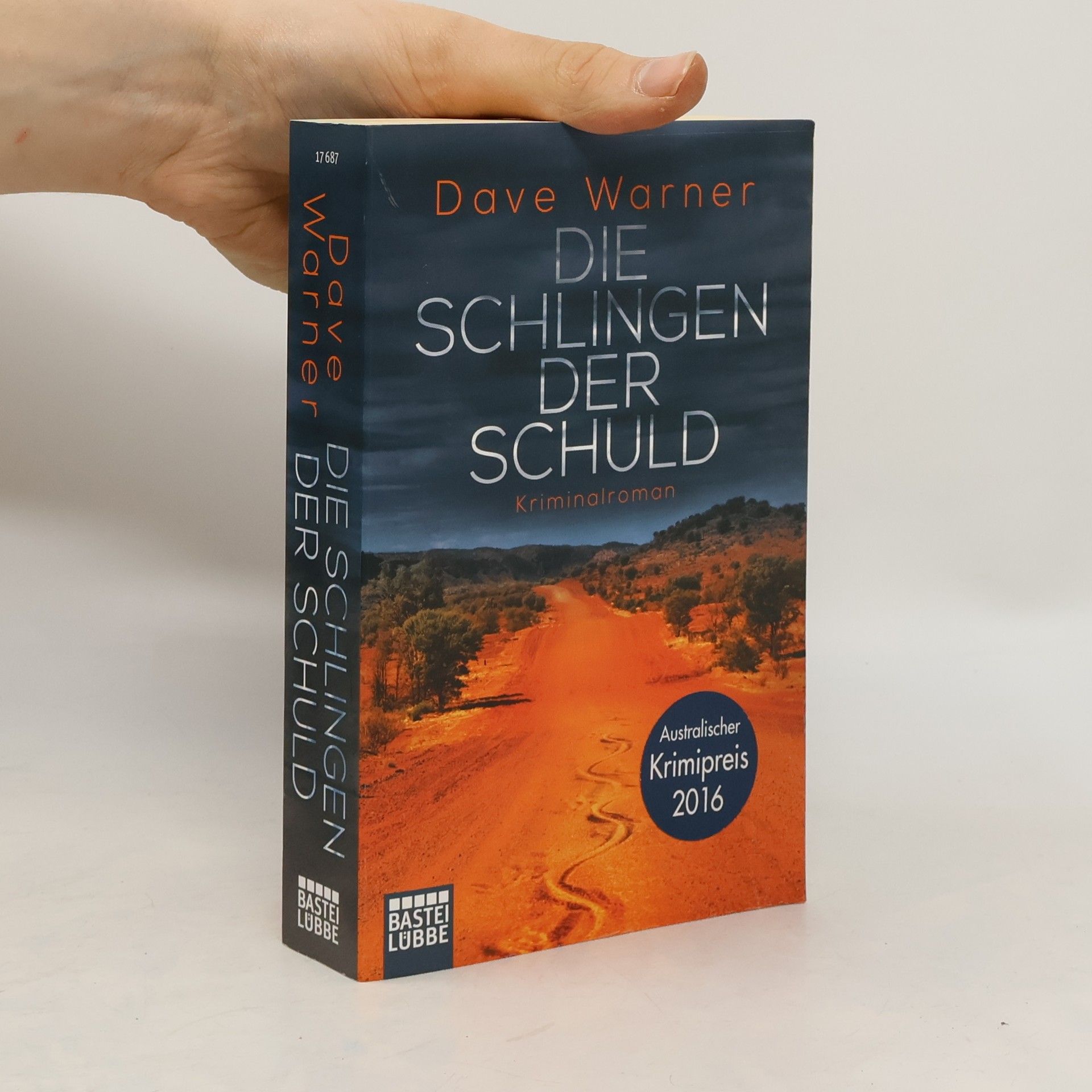 Dave Warner Die Schlingen der Schuld