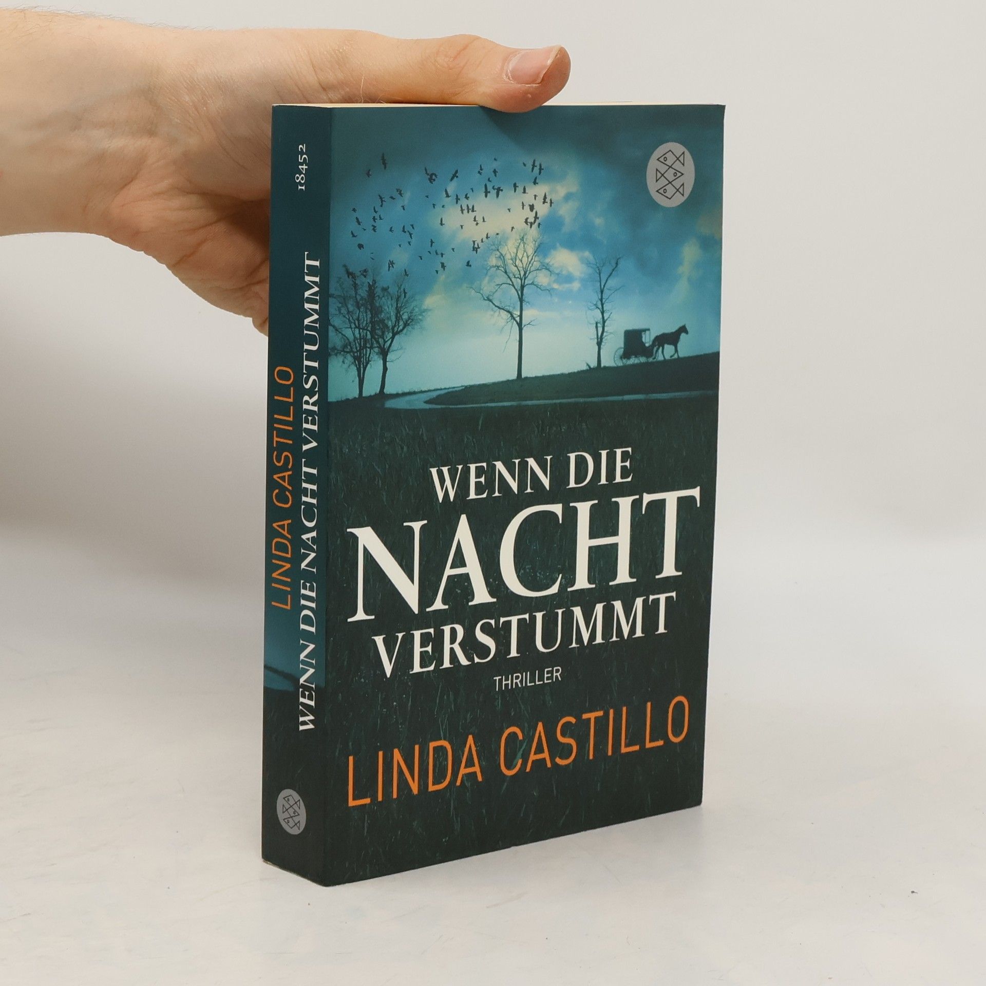 Linda Castillo Wenn die Nacht verstummt