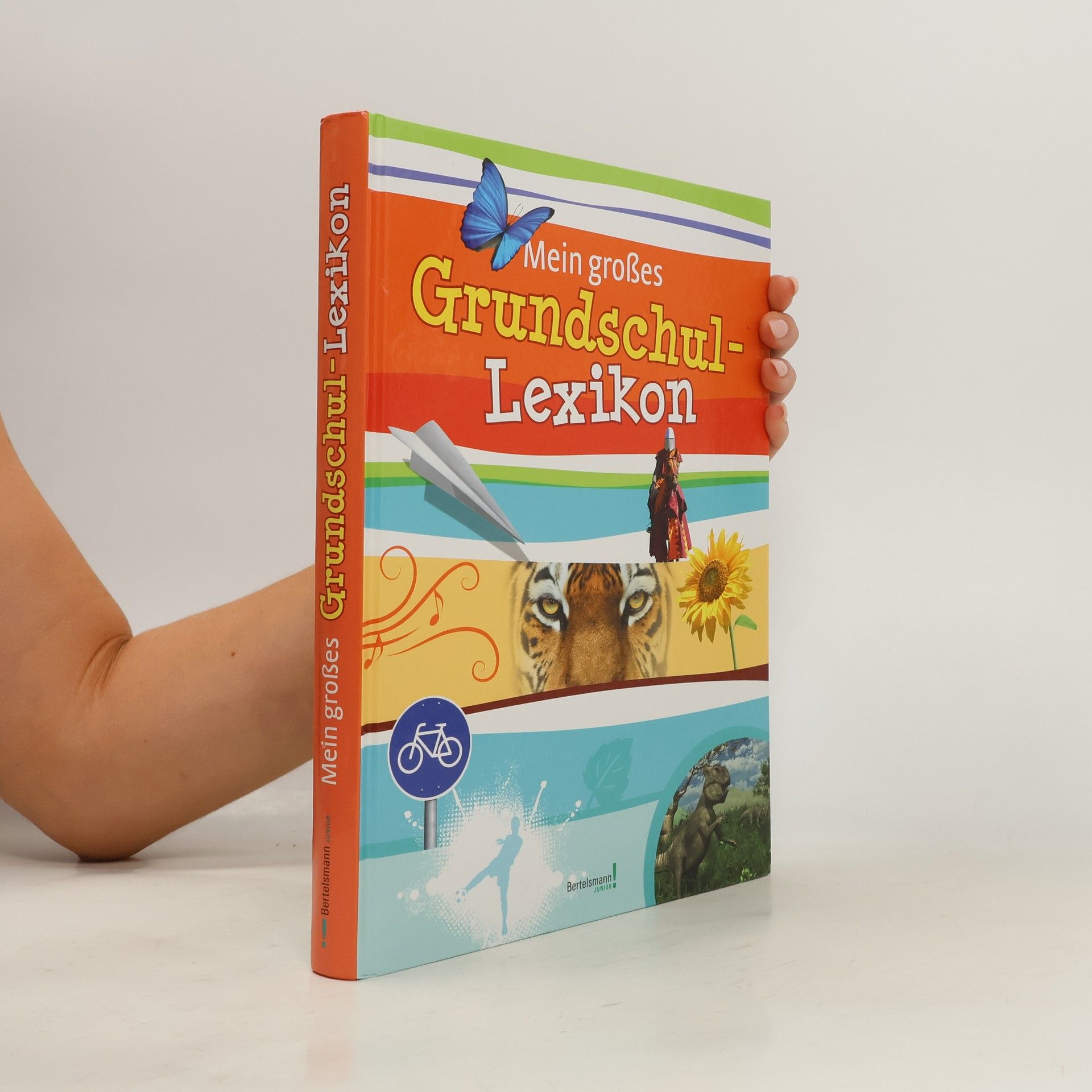 Mein großes Grundschullexikon