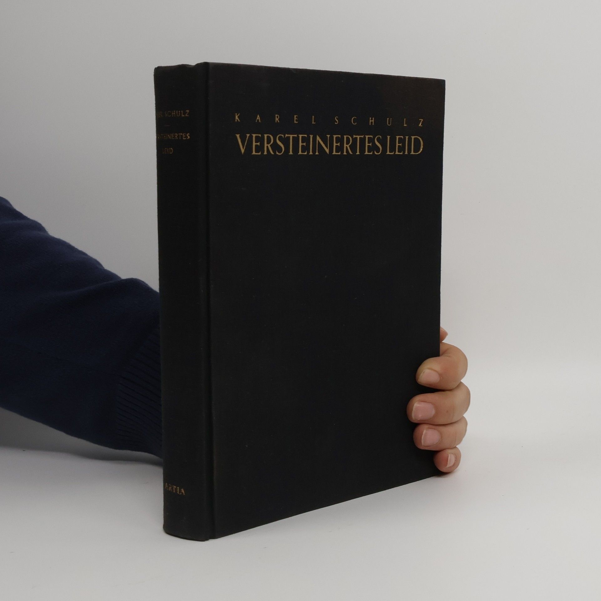 Karel Schulz Versteinertes Leid