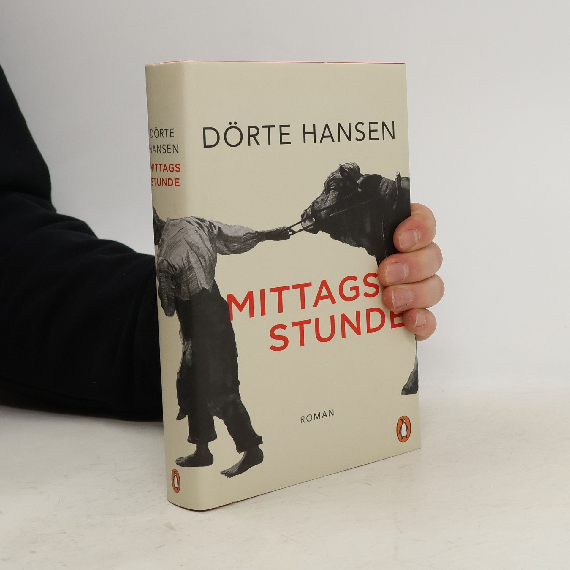 Dörte Hansen Mittagsstunde