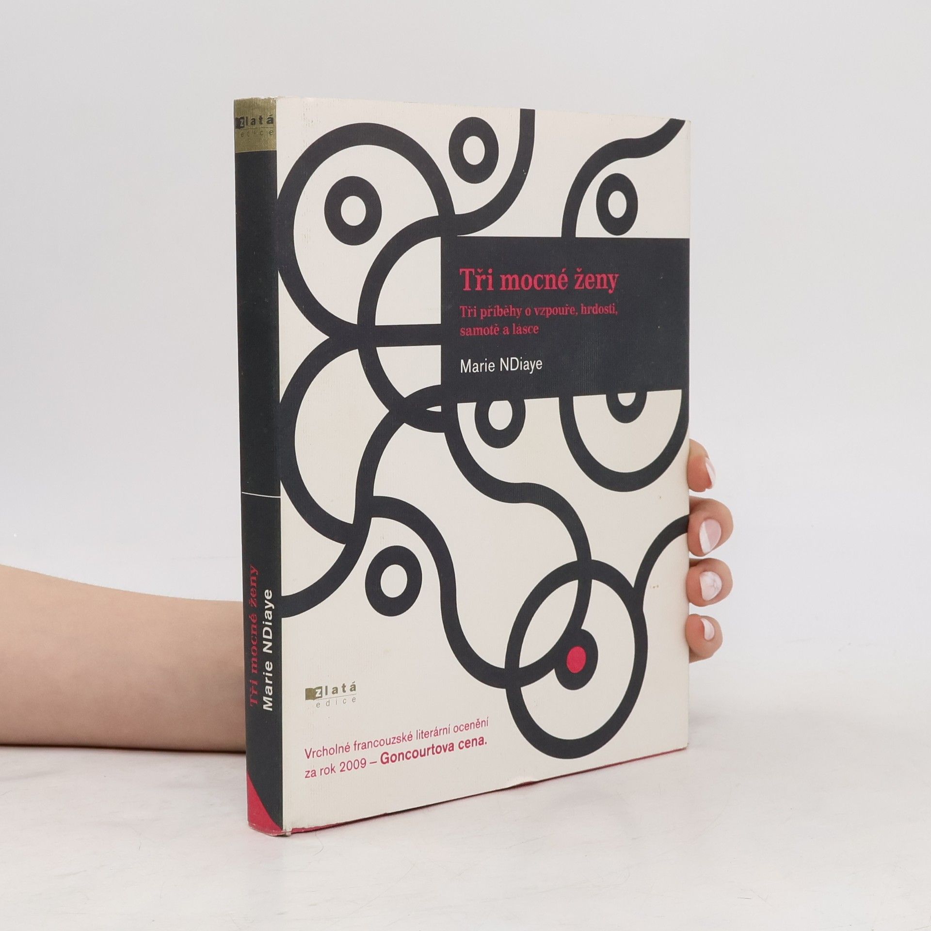 Marie Ndiaye Tři mocné ženy