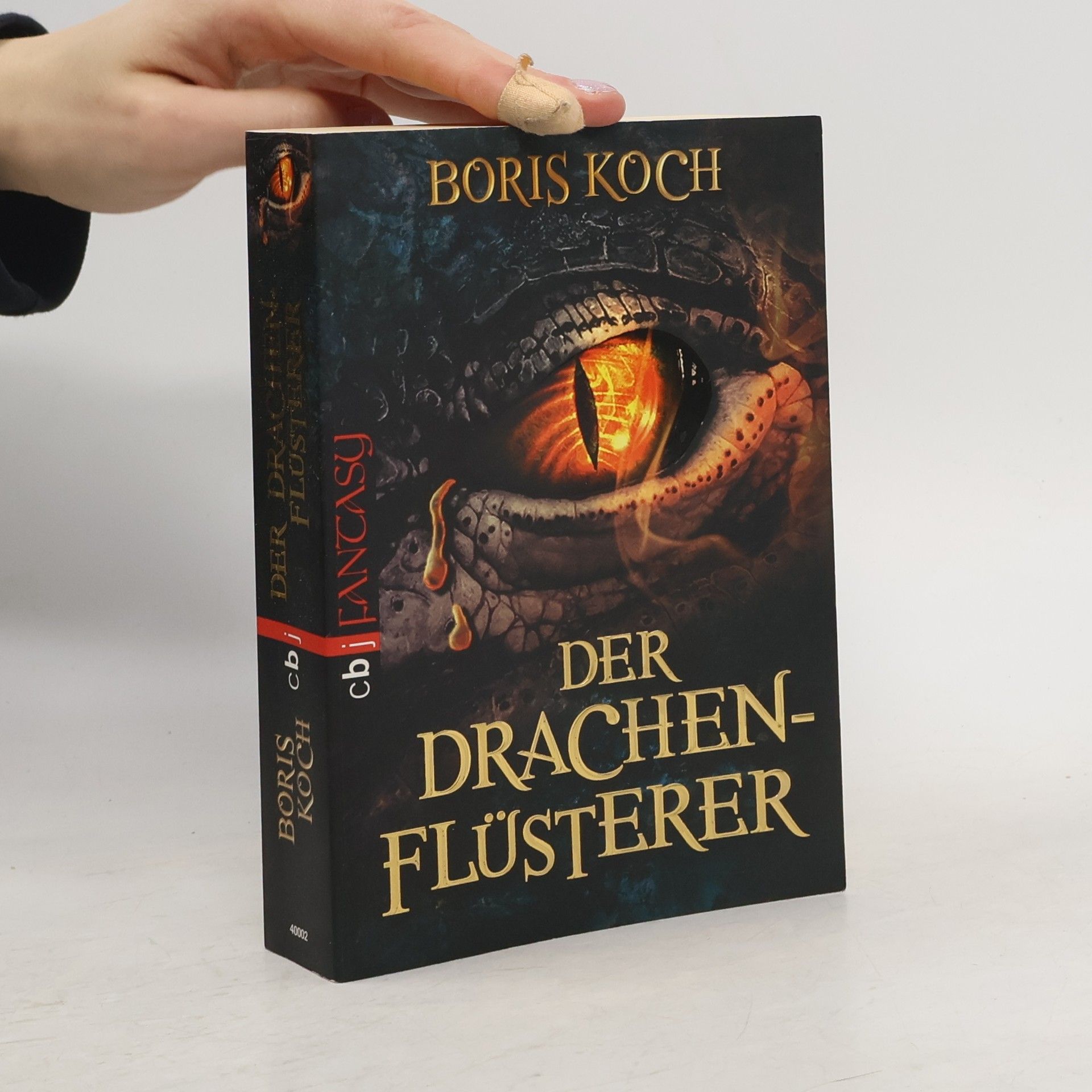 Boris Koch Der Drachenflüsterer