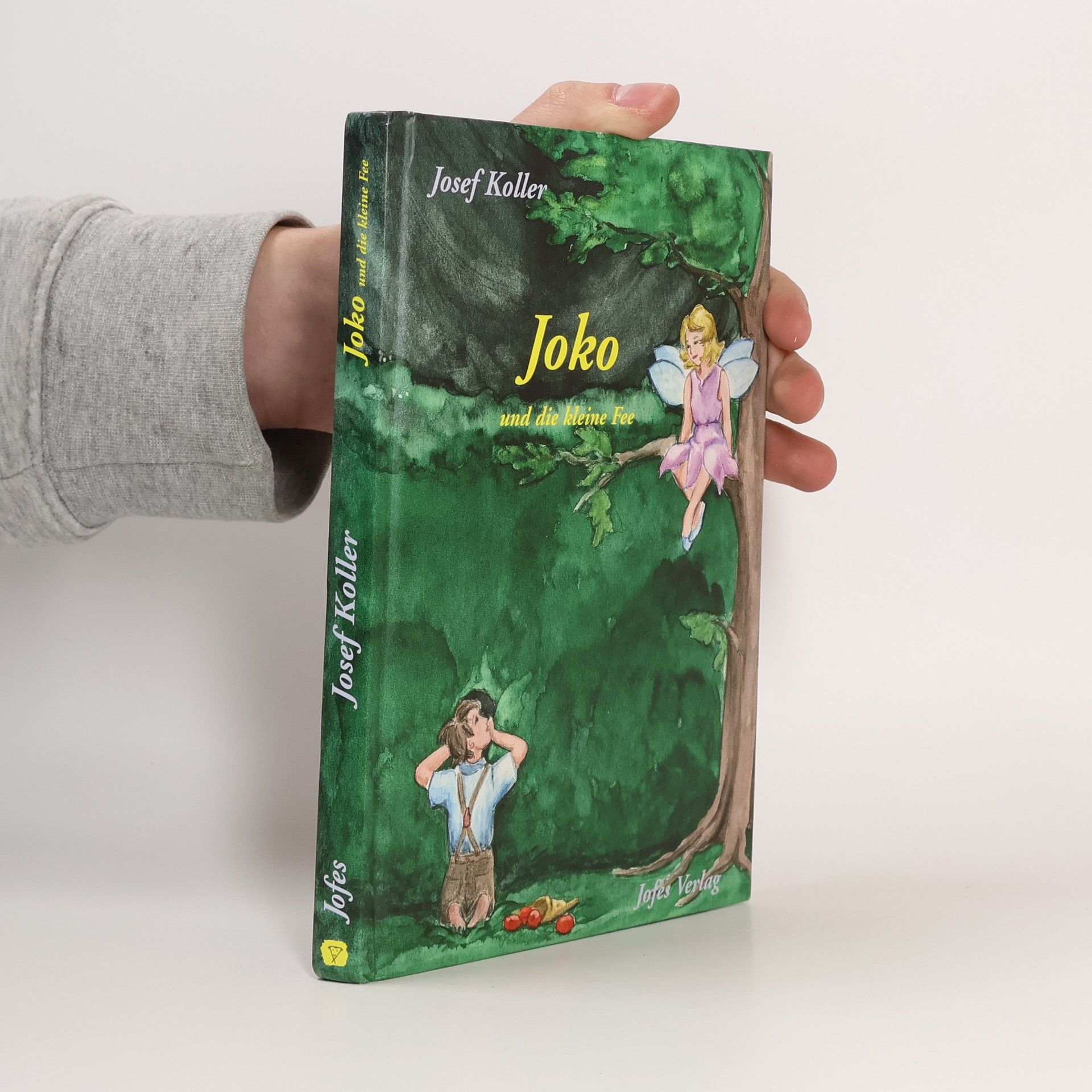 Joko und die kleine Fee