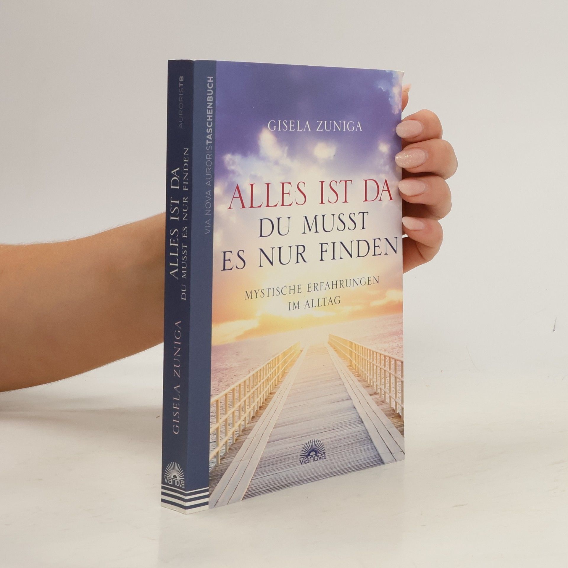 Gisela Zuniga Alles ist da - du musst es nur finden