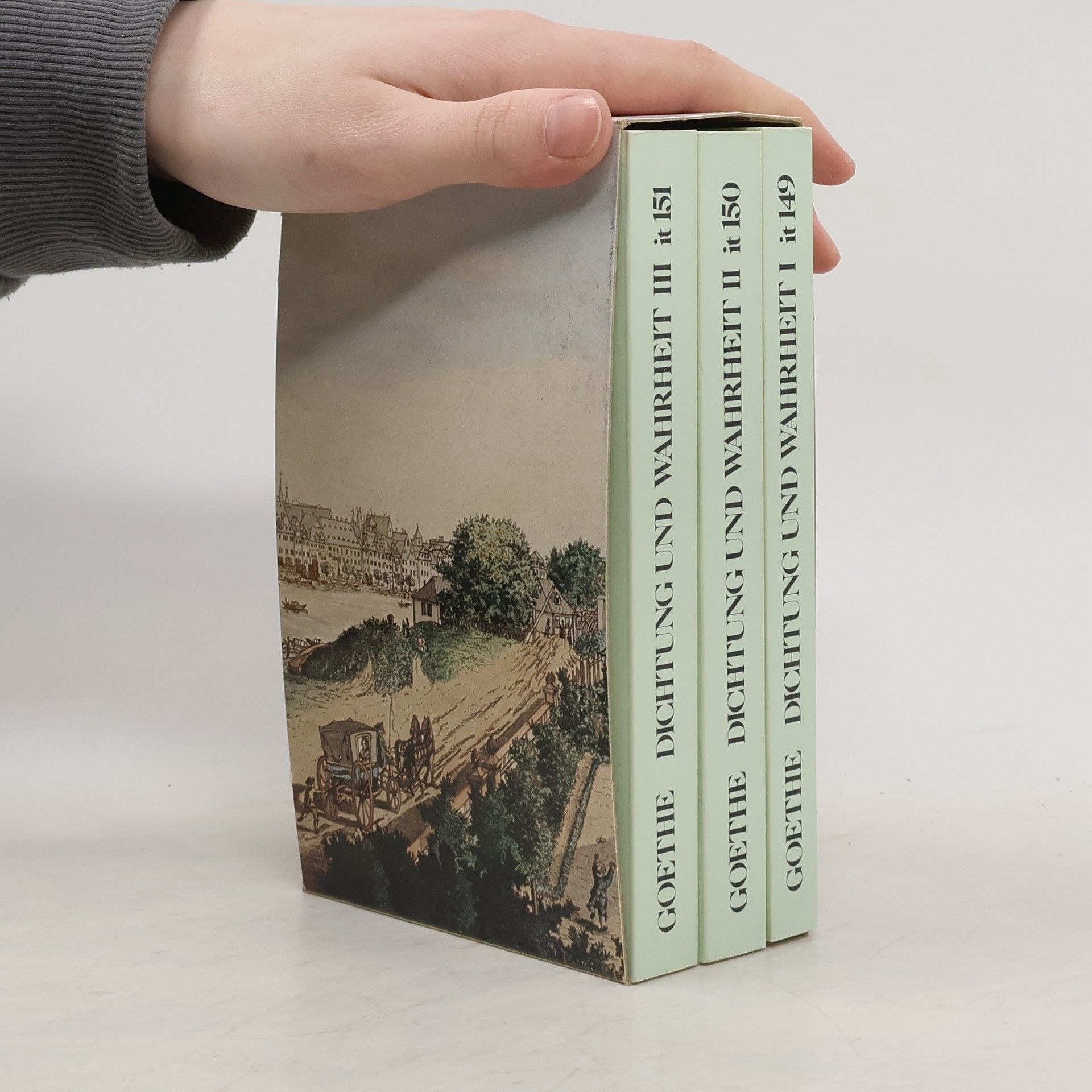 Johann Wolfgang von Goethe Dichtung und Wahrheit I.-III. Insel Taschenbuch 149-151