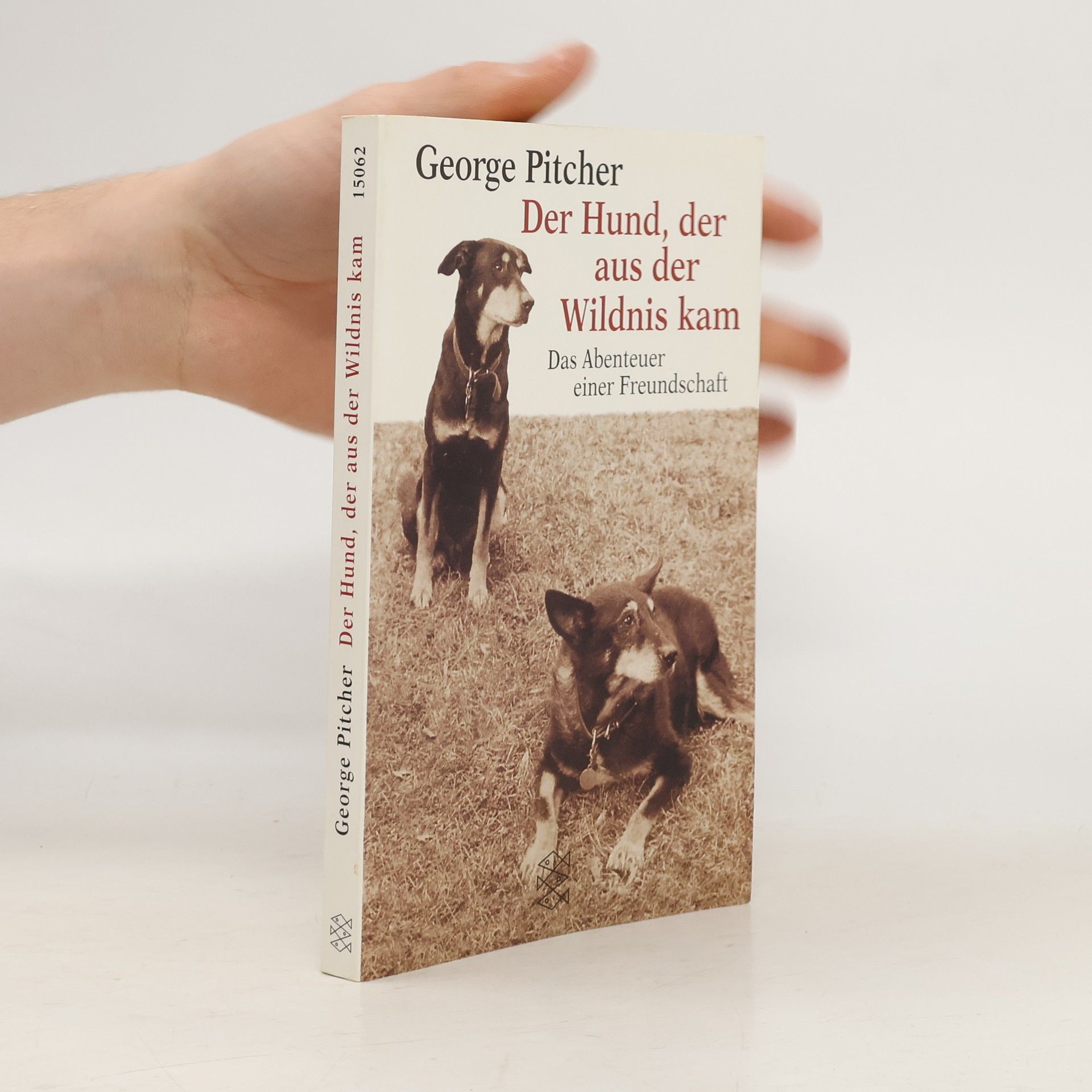George Pitcher Der Hund, der aus der Wildnis kam