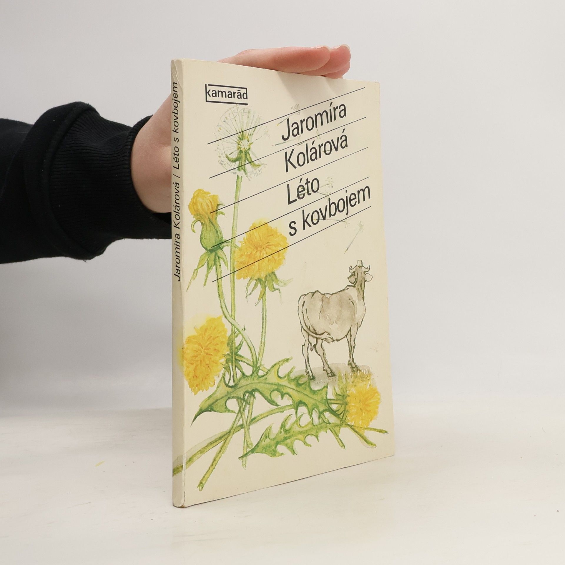 Jaromíra Kolárová Léto s kovbojem