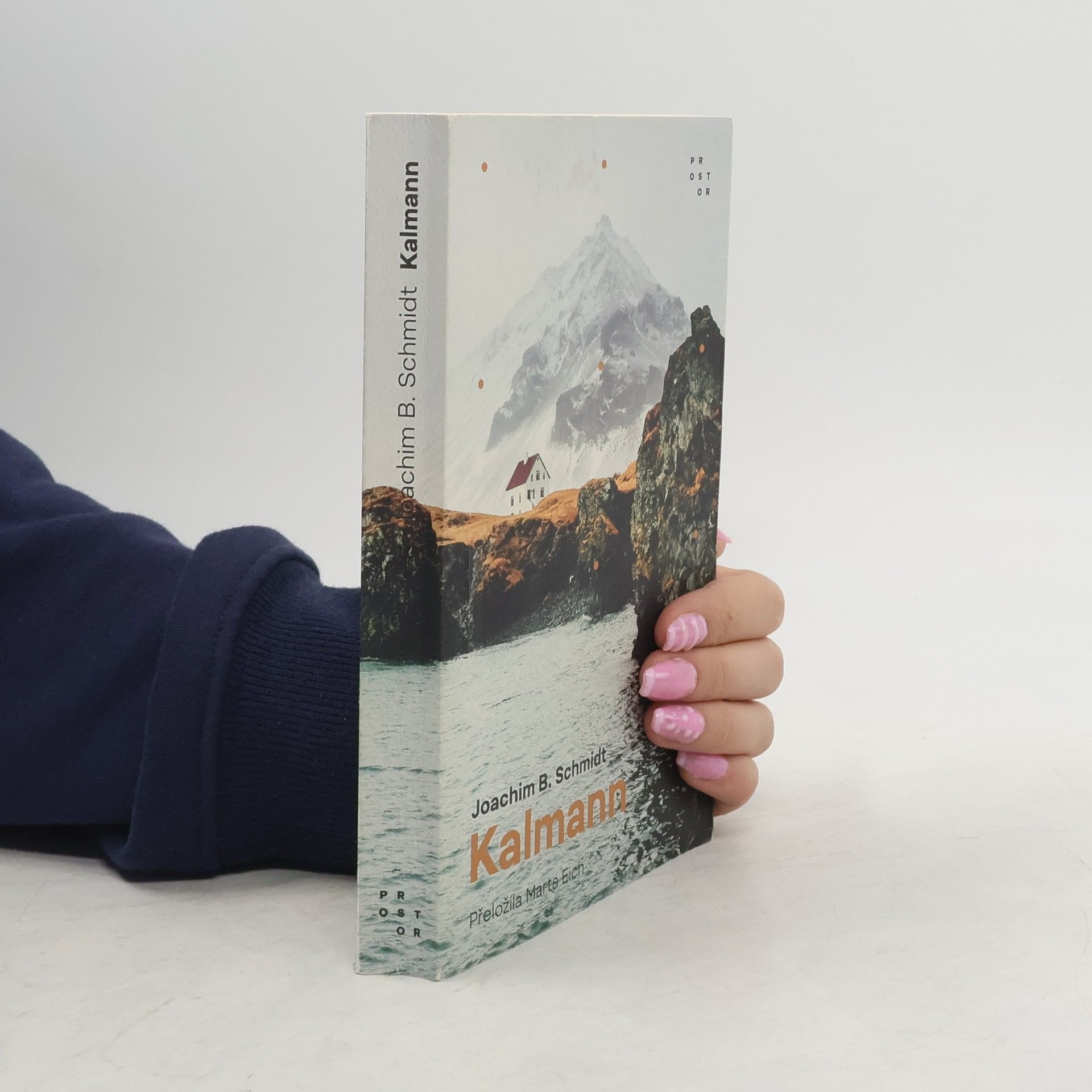 Joachim B. Schmidt Kalmann