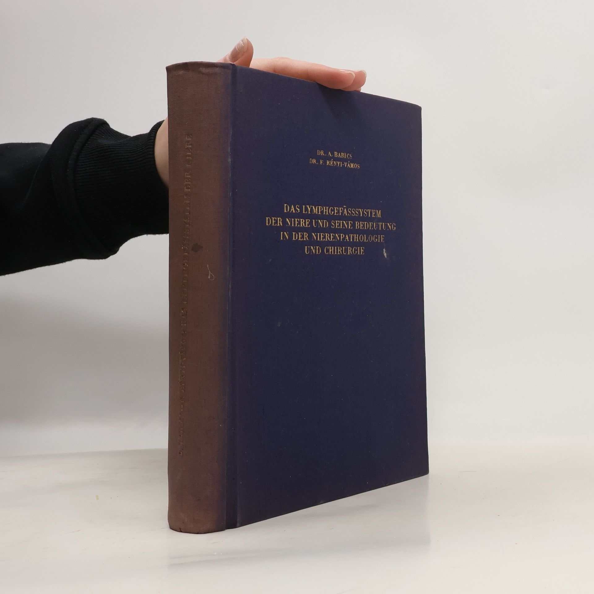 Antal Babics Das Lymphgefässsystem der Niere und Seine Bedeutung in der Niere Pathologie und Chirurgie