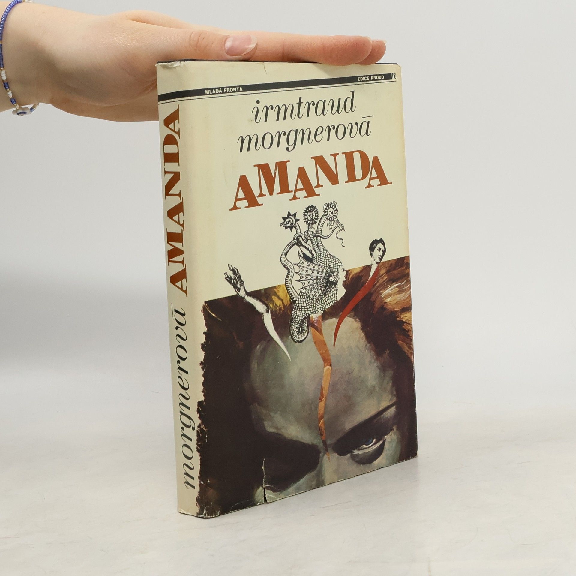 Irmtraud Morgner Amanda. Čarodějničí román