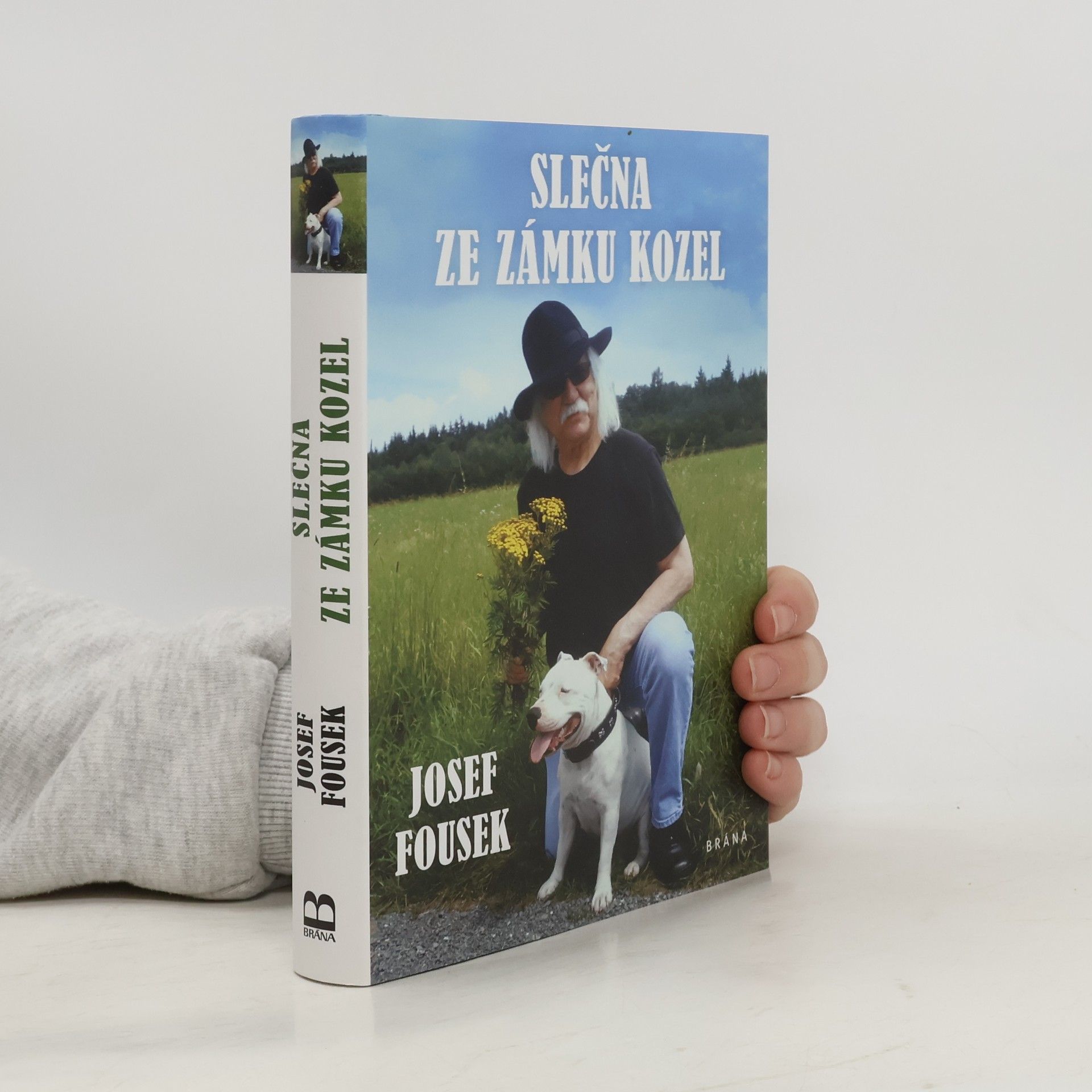 Josef Fousek Slečna ze zámku Kozel