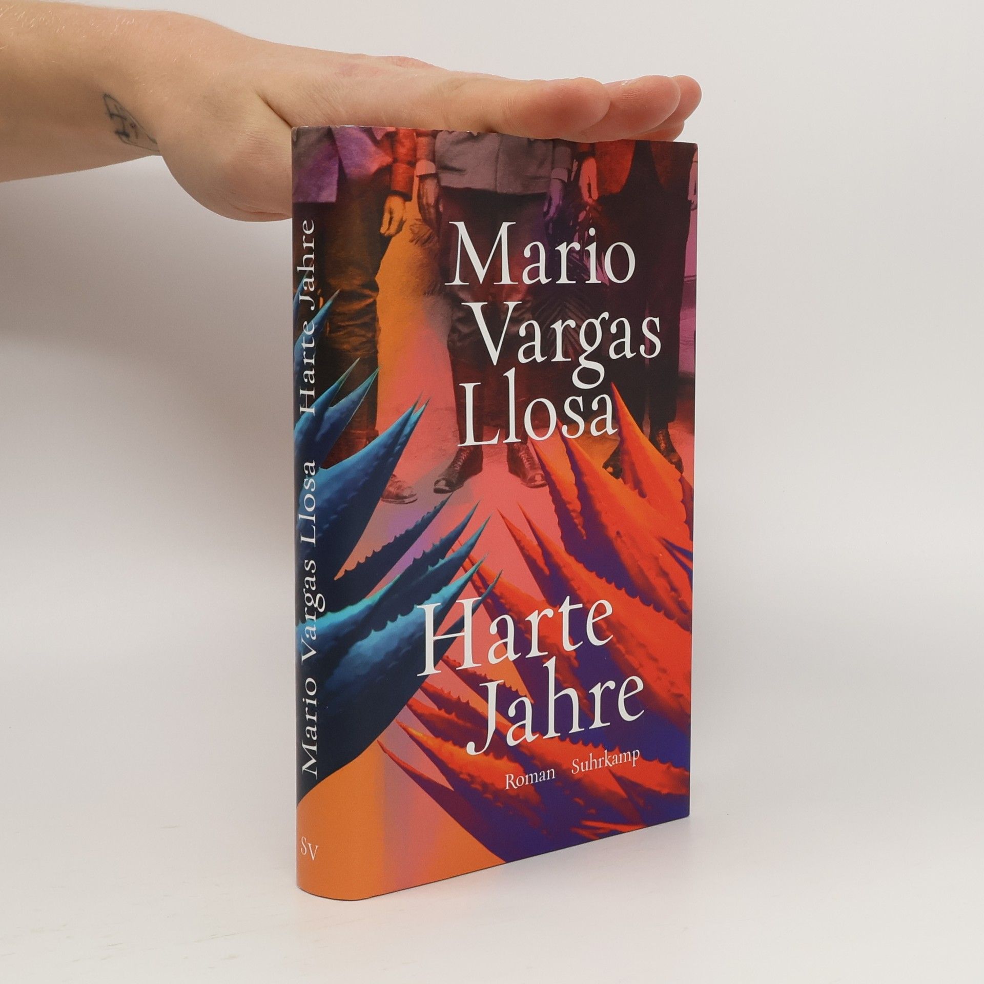 Mario Vargas Llosa Harte Jahre