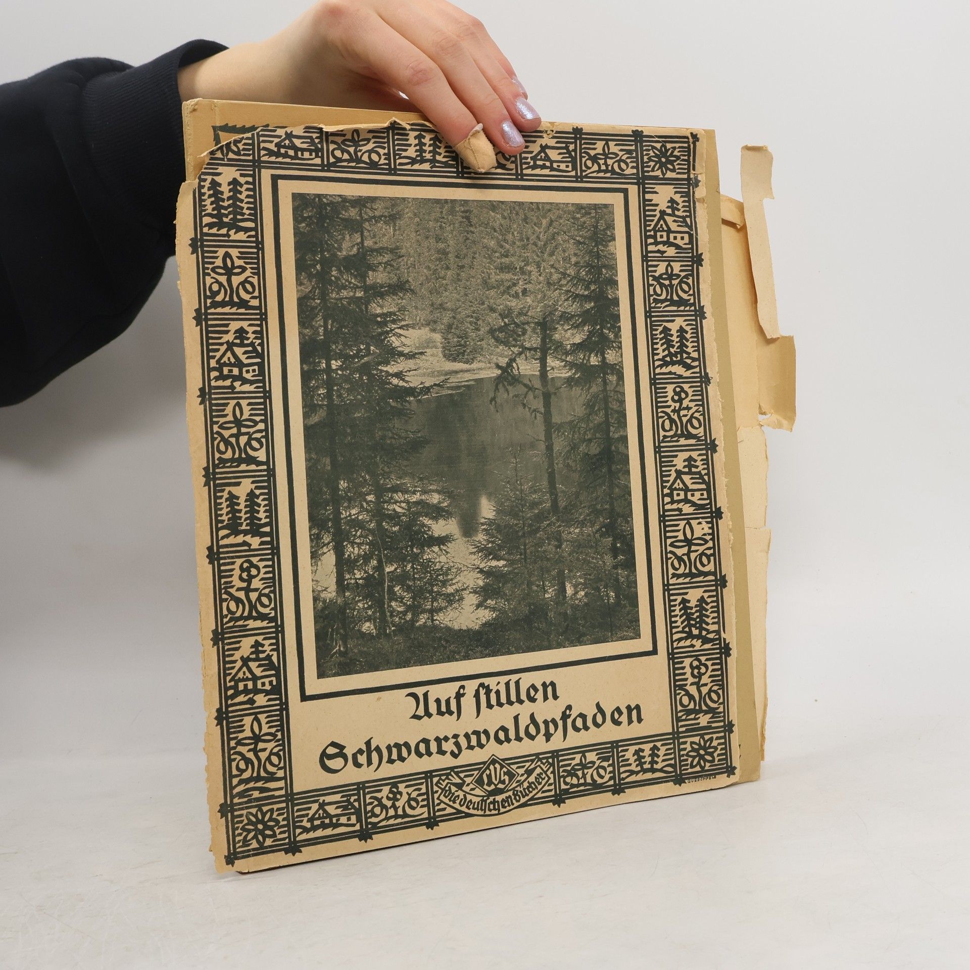 Kolektiv autorů Auf stillen Schwarzwaldpfaden