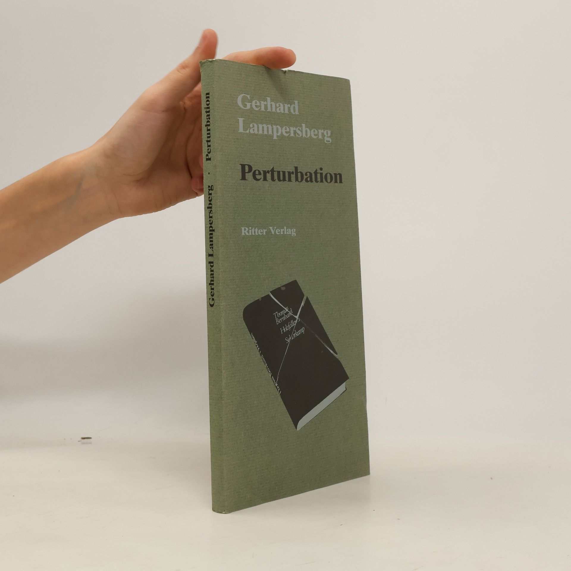 Gerhard Lampersberg Perturbation