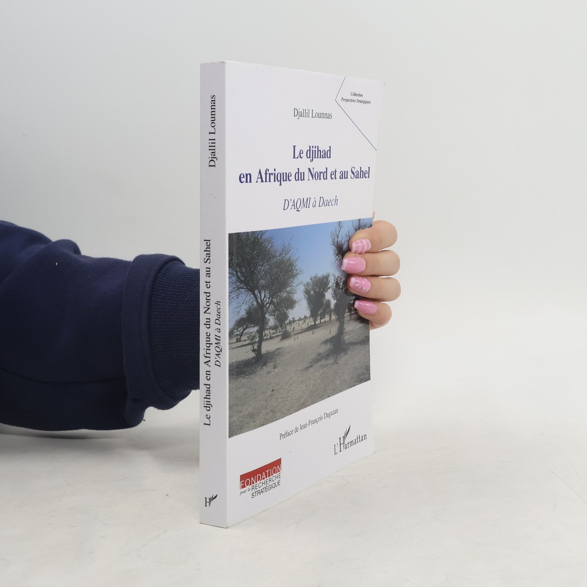 Djallil Lounnas Perspectives Stratégiques: Le djihad en Afrique du Nord et au Sahel