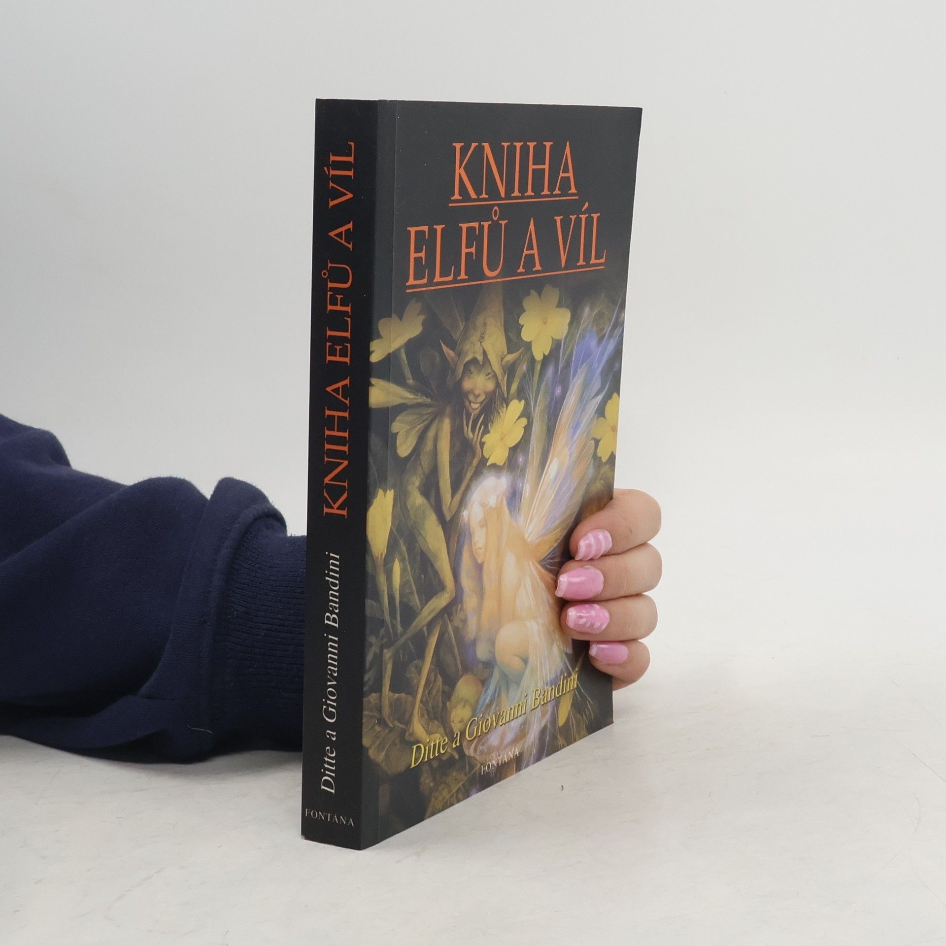 Ditte Bandini Kniha elfů a víl