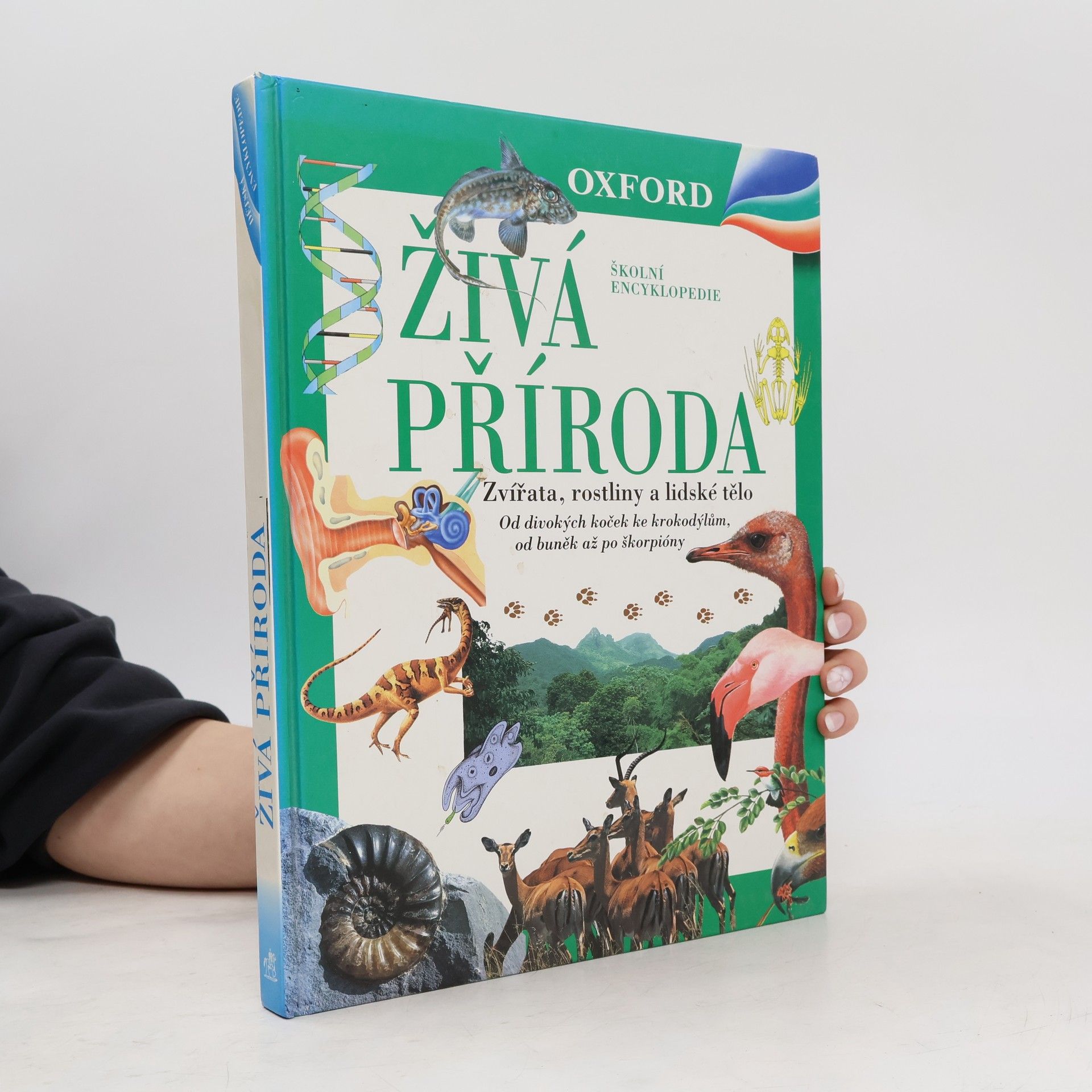 Markéta Hadačová Živá příroda