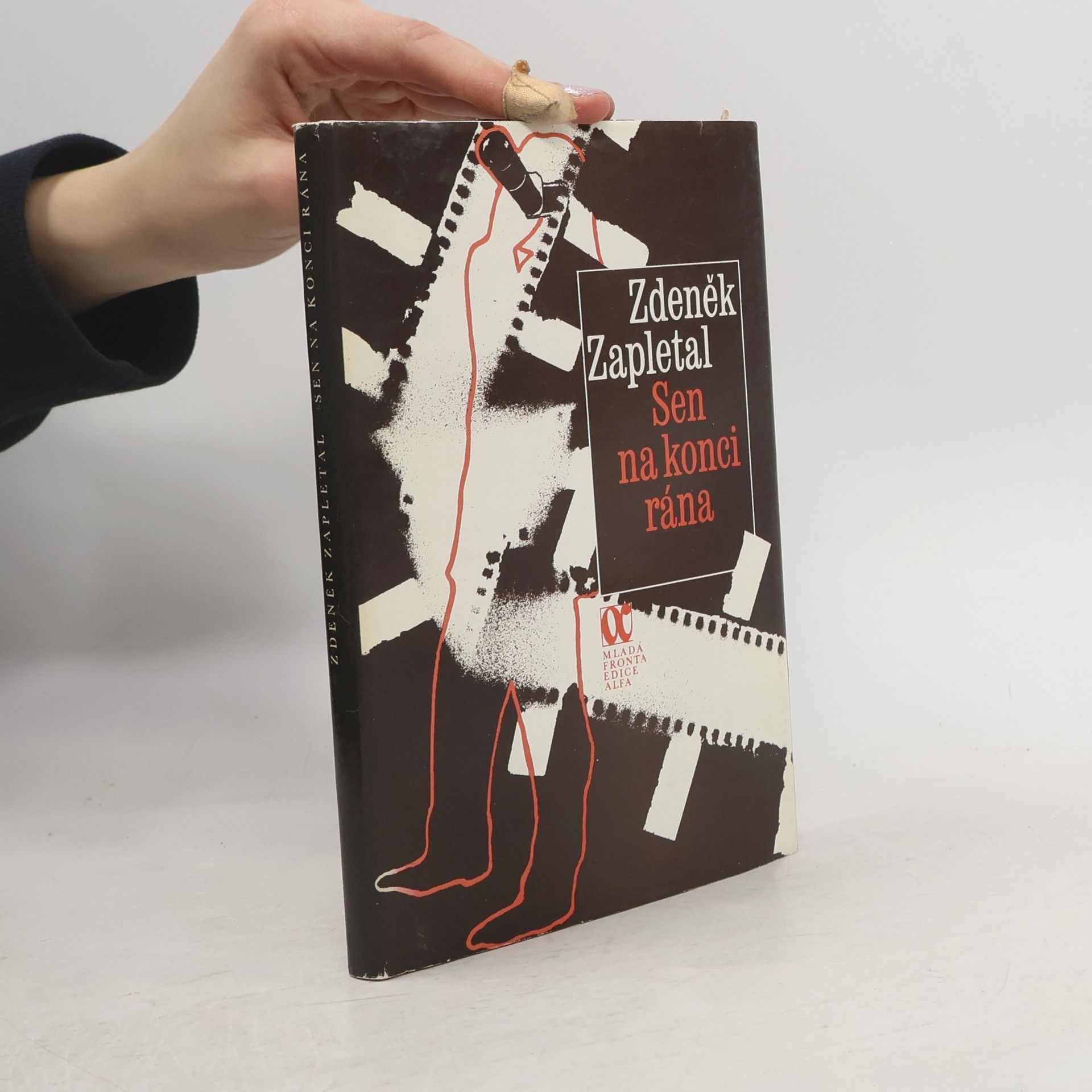 Zdeněk Zapletal Sen na konci rána