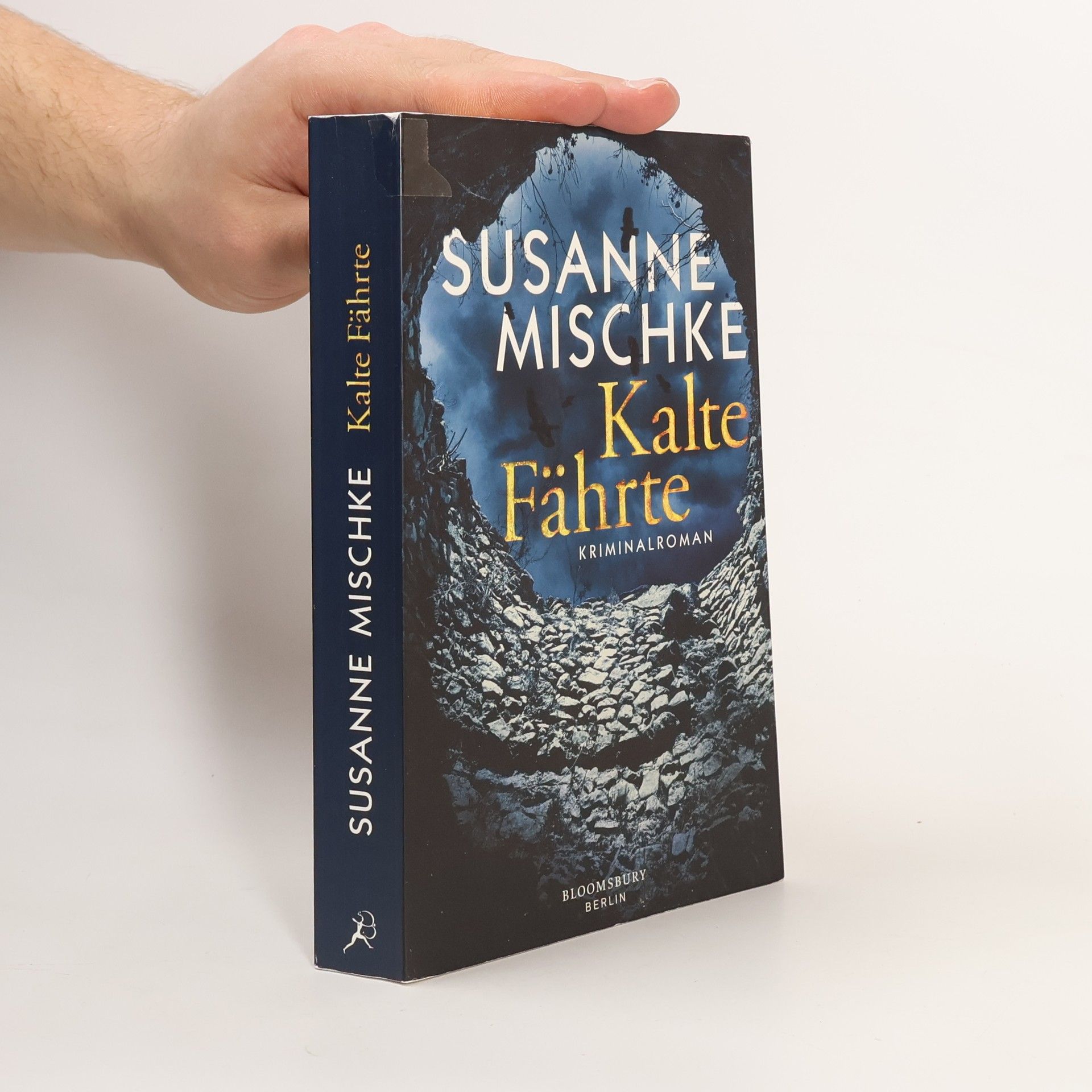 Susanne Mischke Kalte Fährte