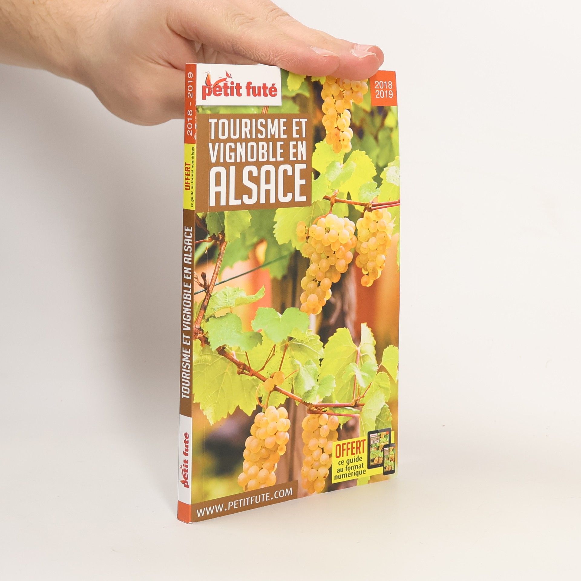 Tourisme et vignoble en Alsace 2018-2019 Petit Futé