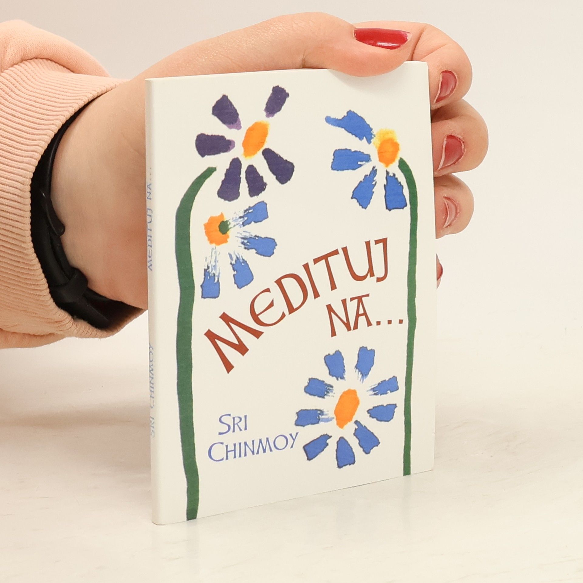 Sri Chinmoy Medituj na...