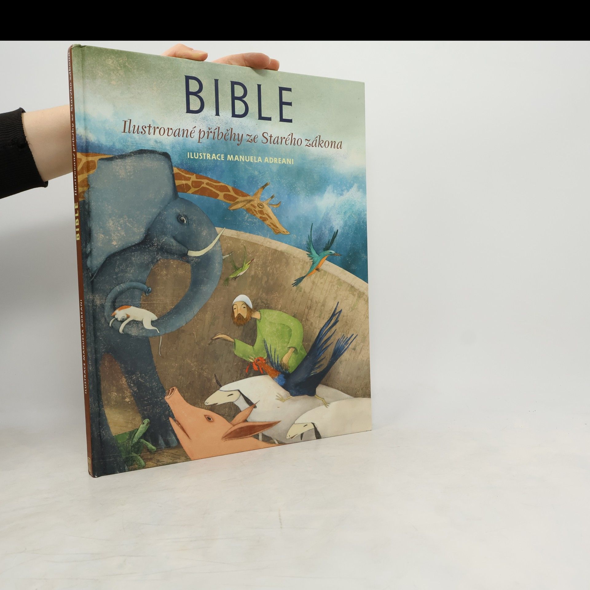 Manuela Adreani Bible - ilustrované příběhy ze Starého zákona