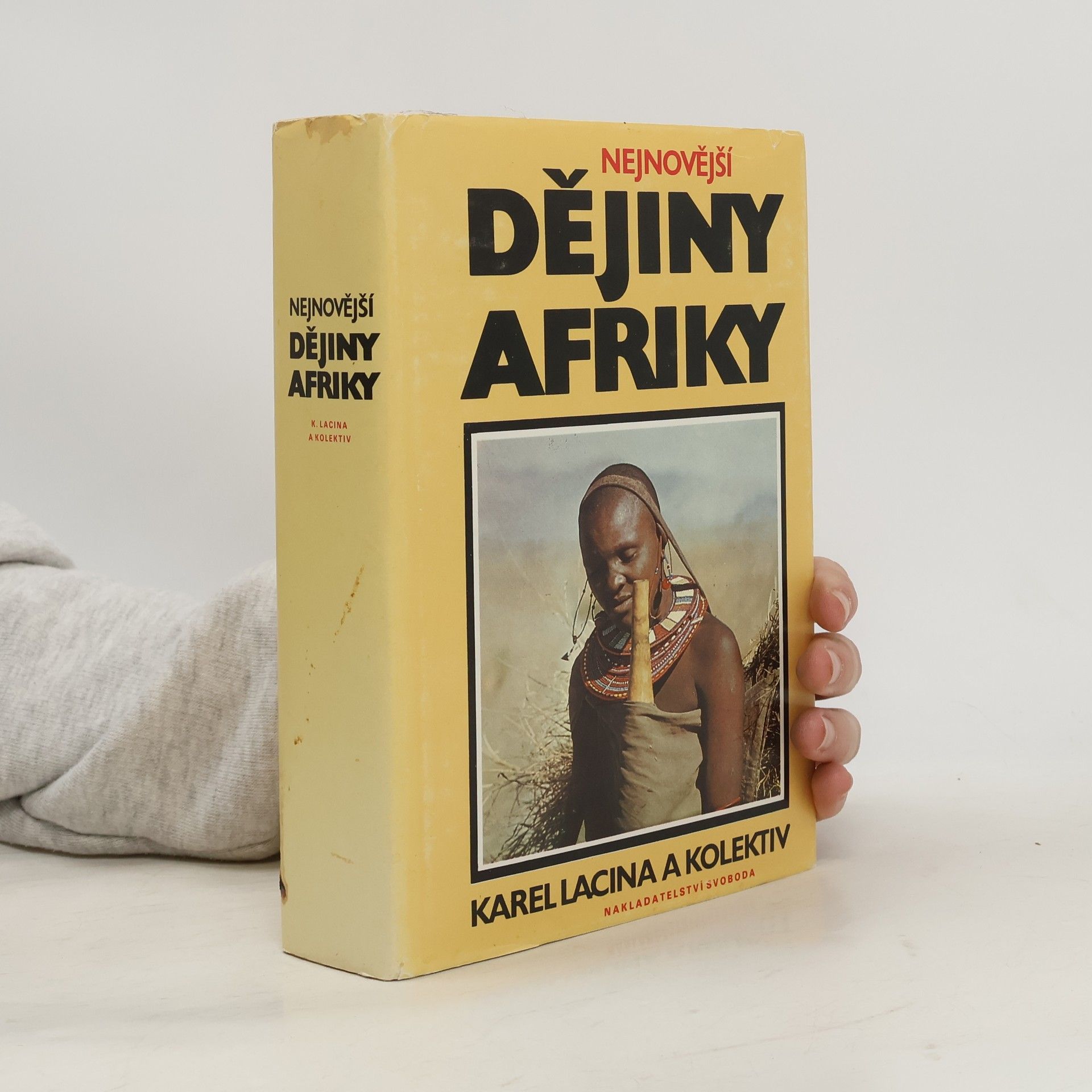 Karel Lacina Nejnovější dějiny Afriky