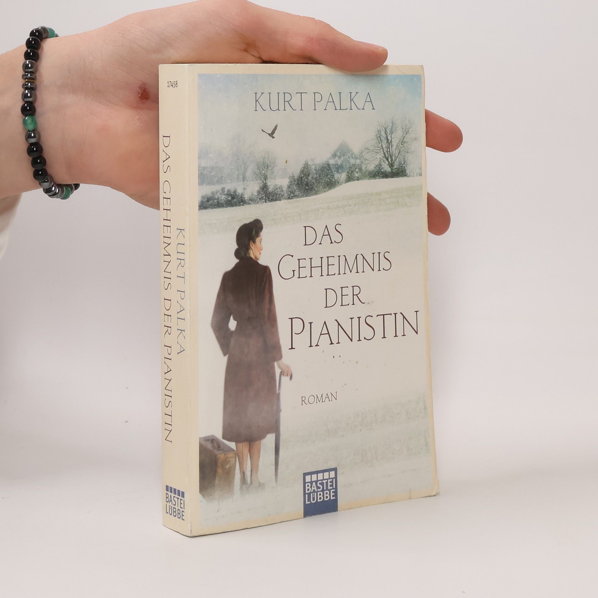 Kurt Palka Das Geheimnis der Pianistin