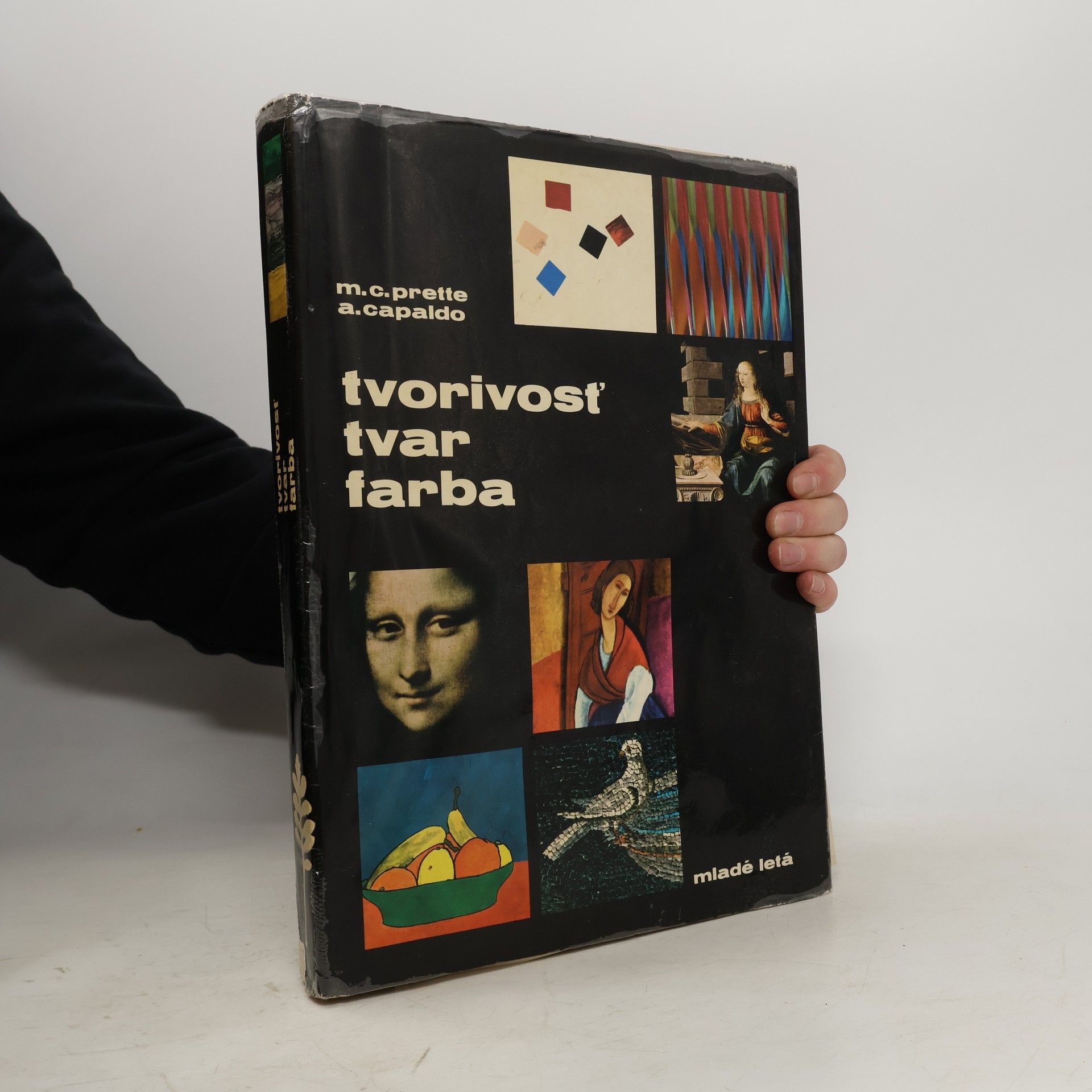 Maria Carla Prette Tvorivosť, tvar, farba