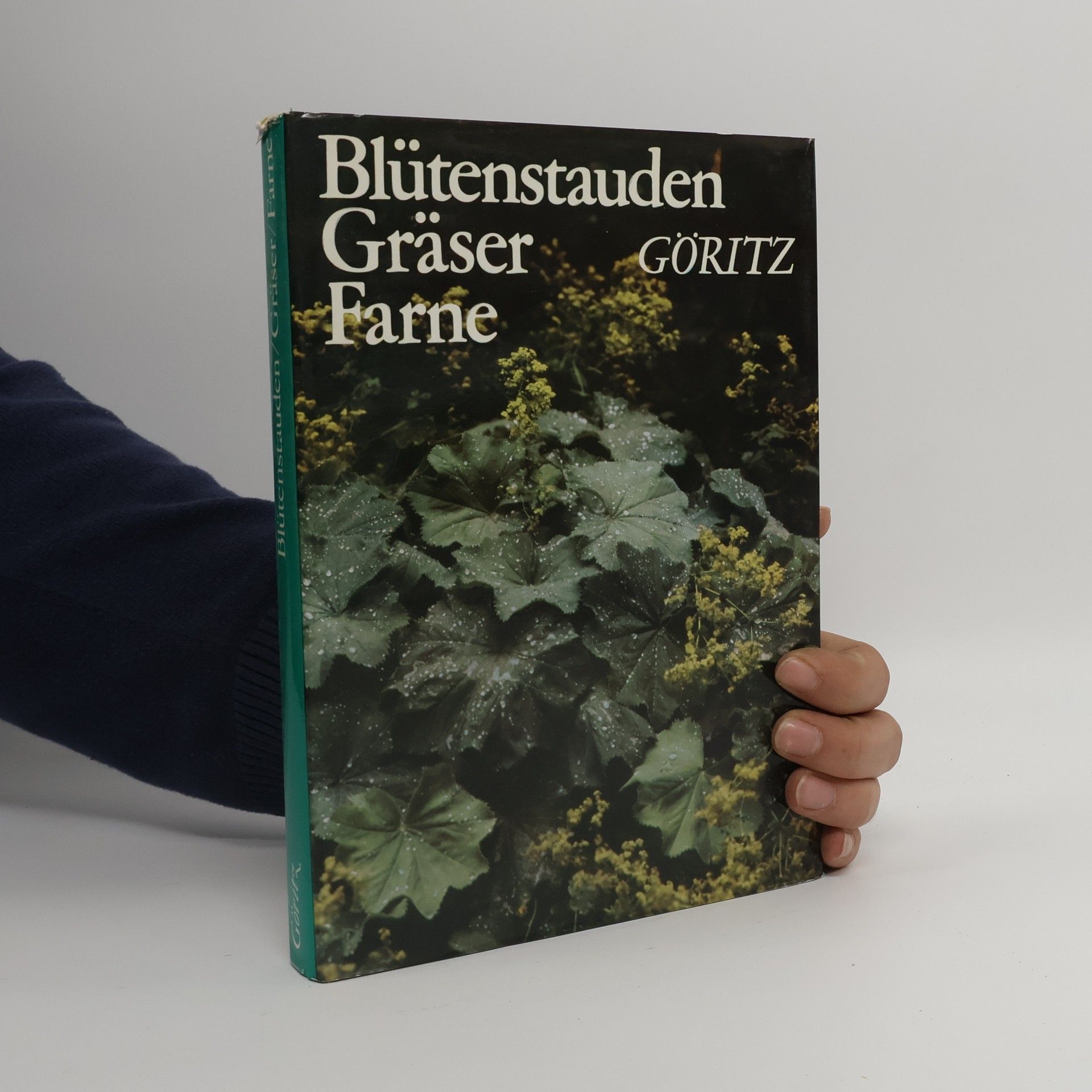 Hermann Göritz Blütenstauden. Gräser. Farne