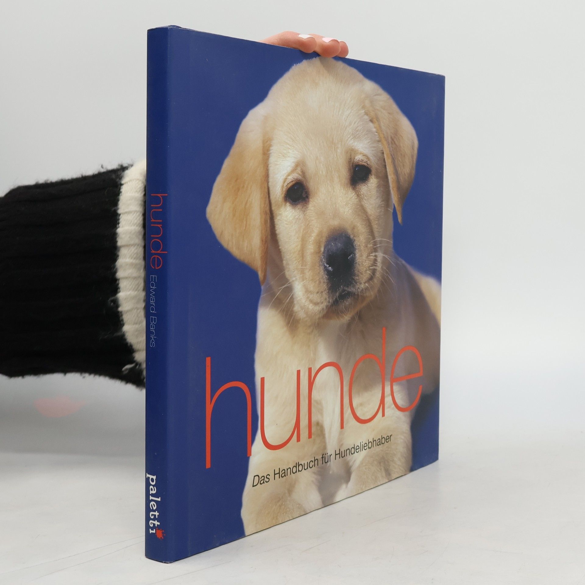 Autorenkollektiv Katzen