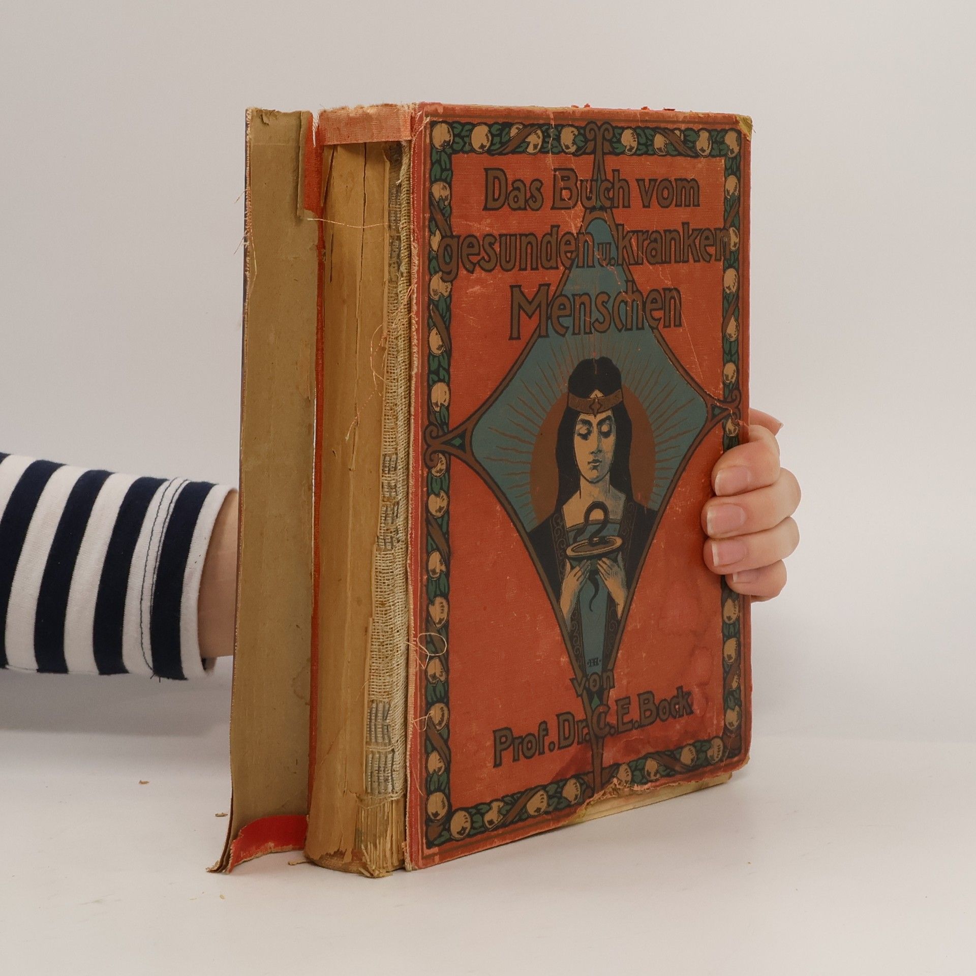 Carl Ernst Bock Das Buch vom gesunden und kranken Menschen